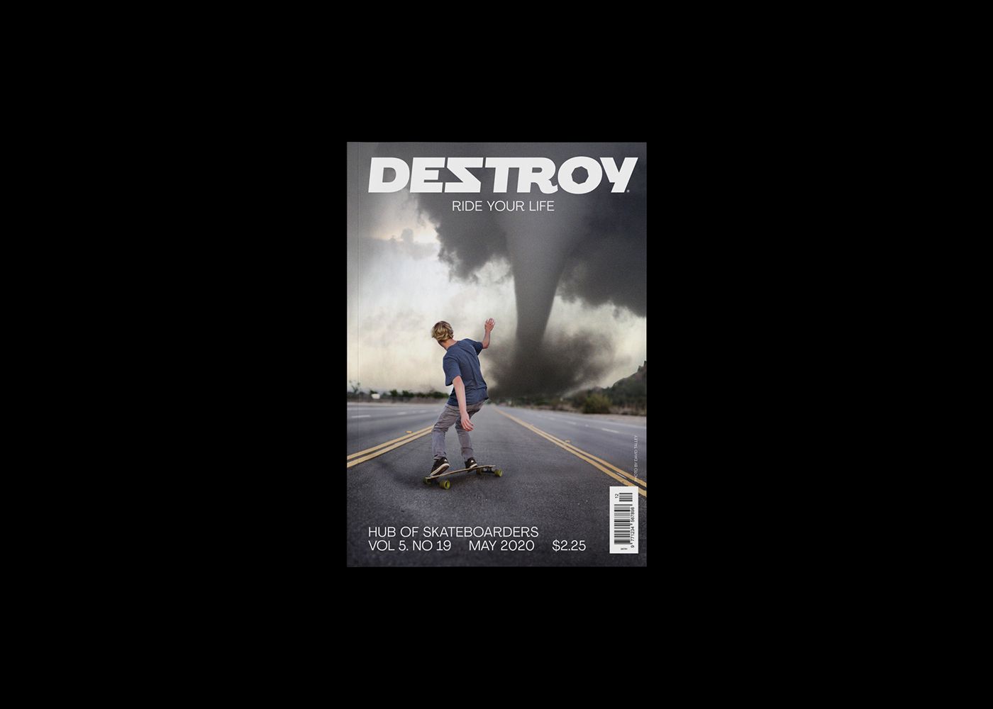 branding  destroy grid identity magazine skateboard skateboarding typography   Web
