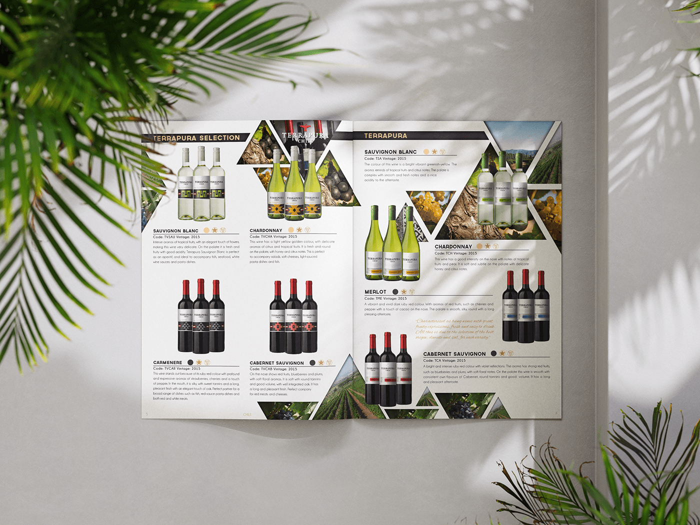brochure wine wholesale alcohol print Graphic Designer marketing   Advertising  adobe illustrator photoshop