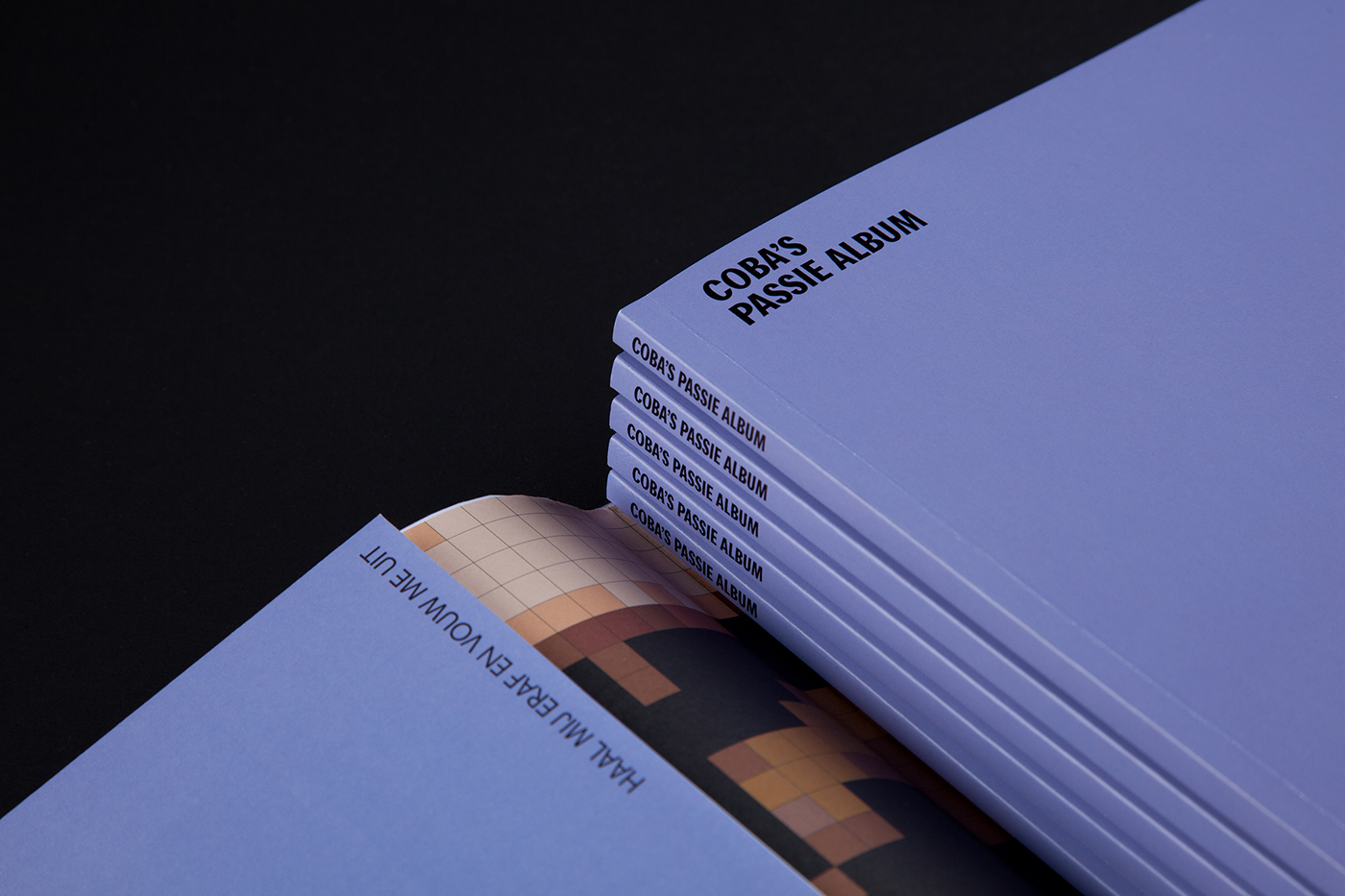 celebration foundation identity editorial book