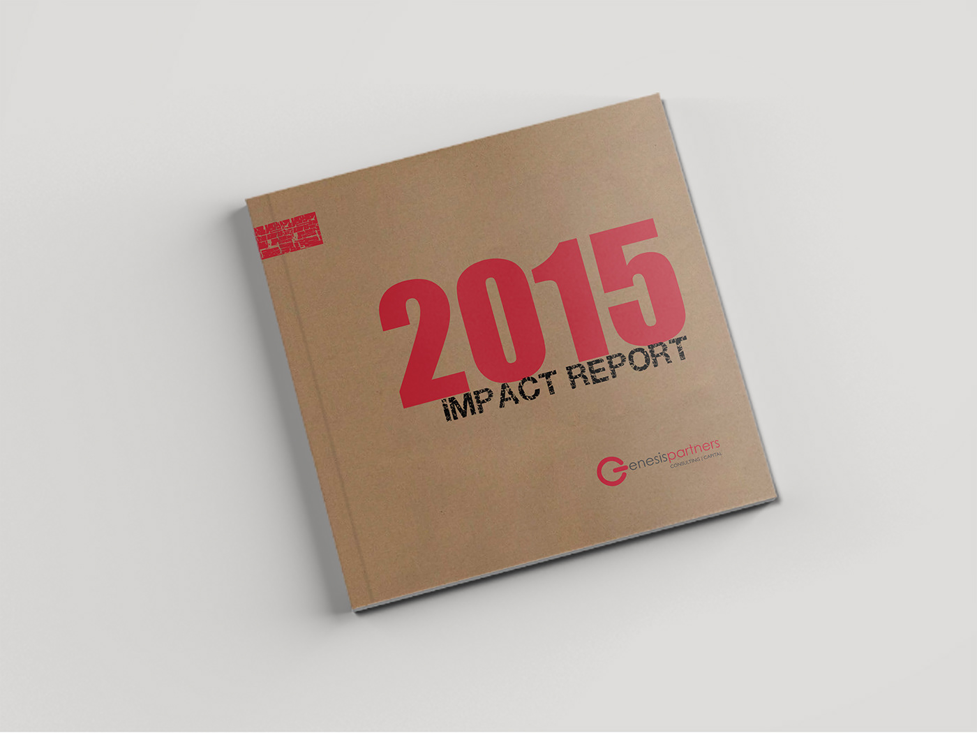 diseño grafico editorial memoria anual report design