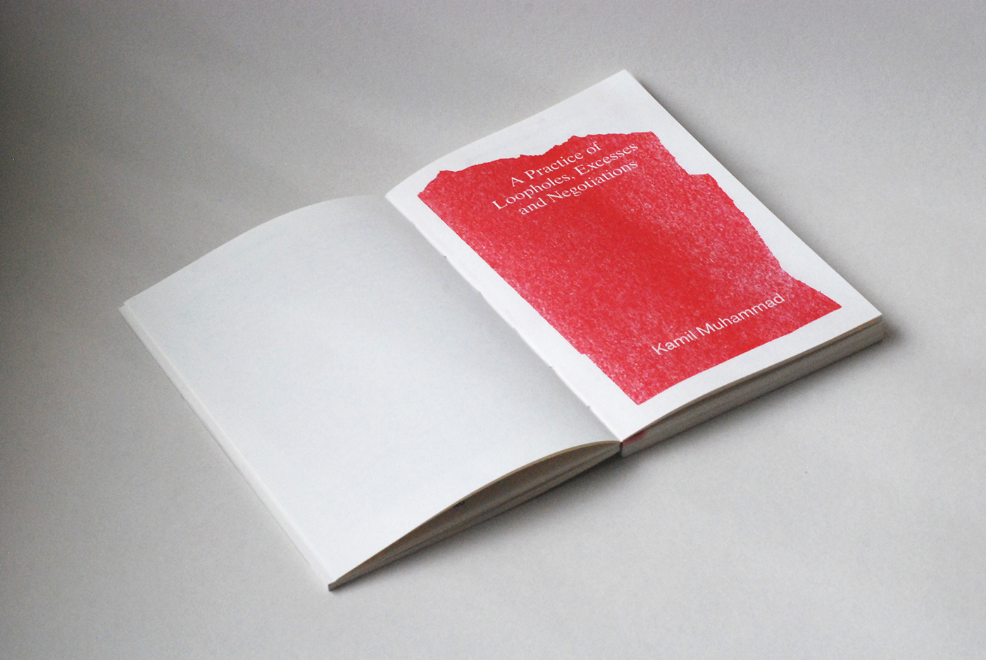 book cookies editorial indonesia installation merchandise red Riso risograph Zine 