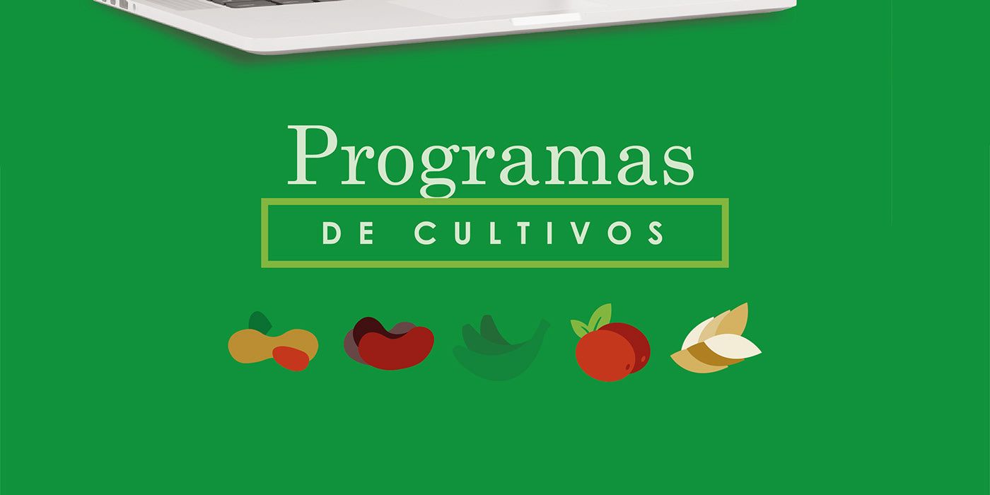 agroindustria branbook branding  gsolutions Logotipo McGregor nicaragua ramac rappaccioli Verde