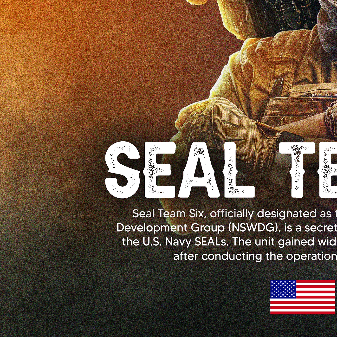 SEAL team six War ukraine artwork Graphic Designer usa soldier army Military Gun