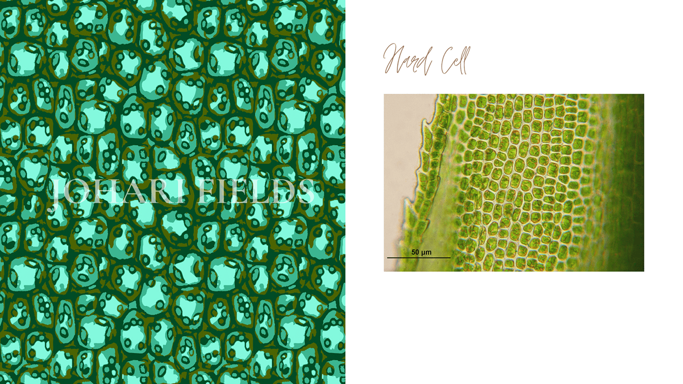 repeat pattern textile design  paint floral fashion print graphic design  apparel fabric fabric surface design