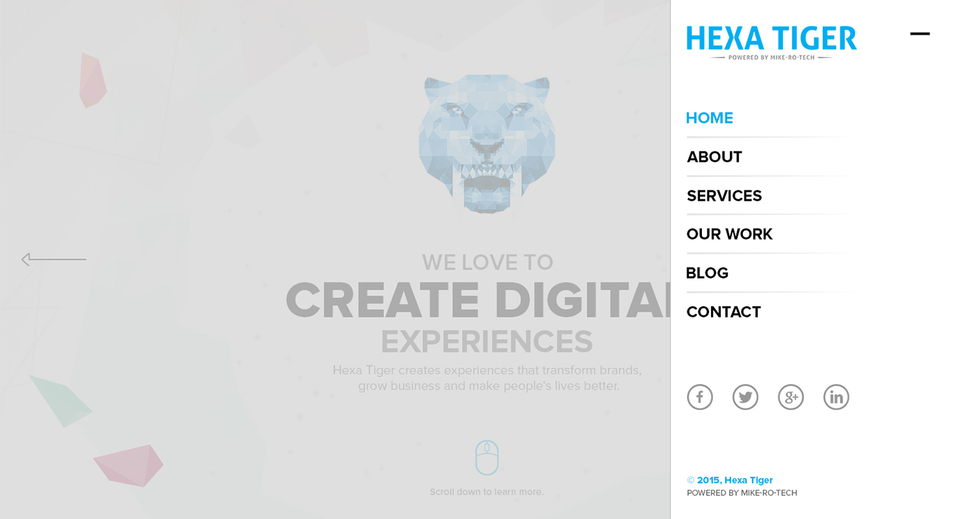 hexa tiger michael peres mikey peres web design california Web Design  web development 