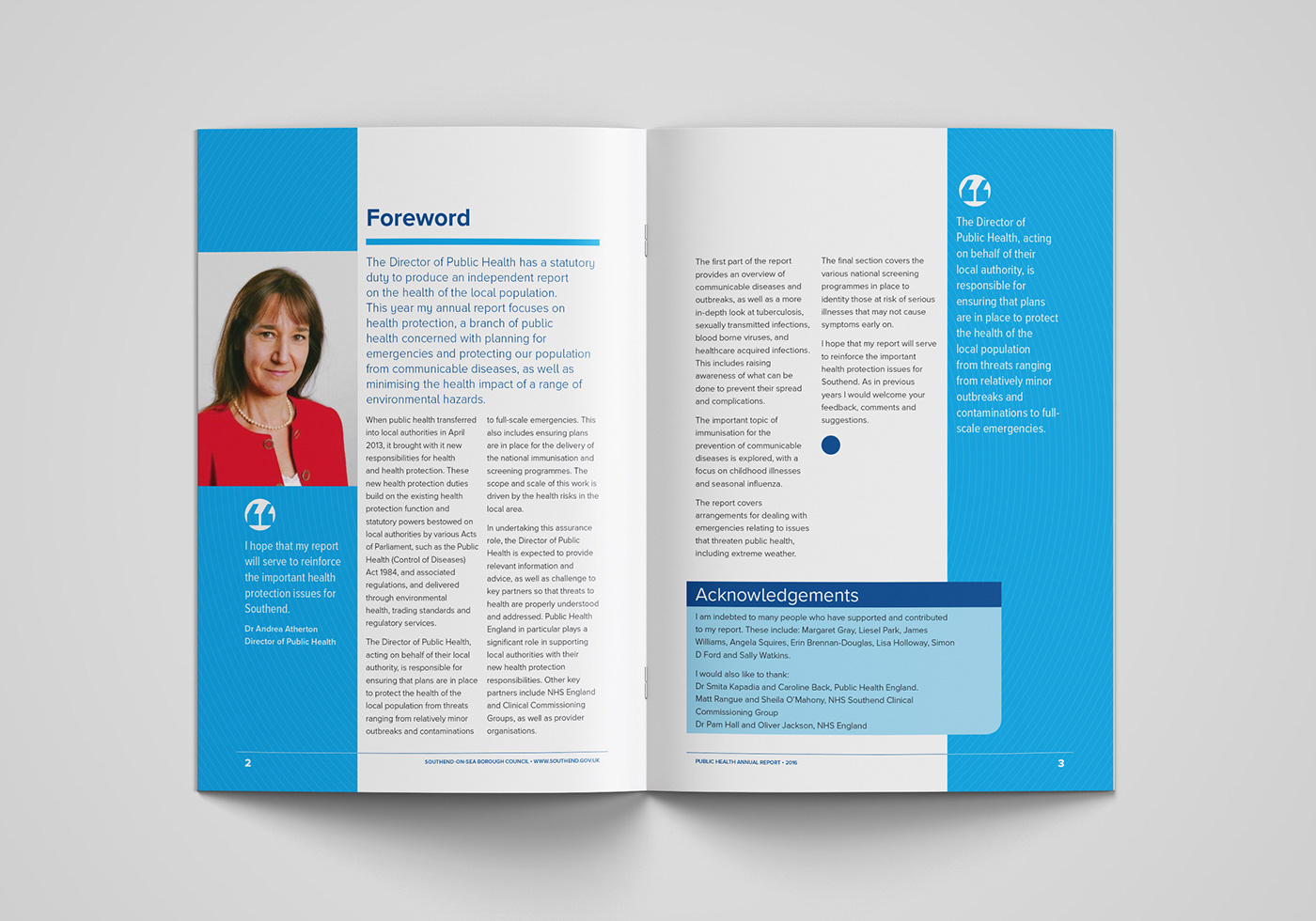 annual report page layout page design text heavy Charts tables icons