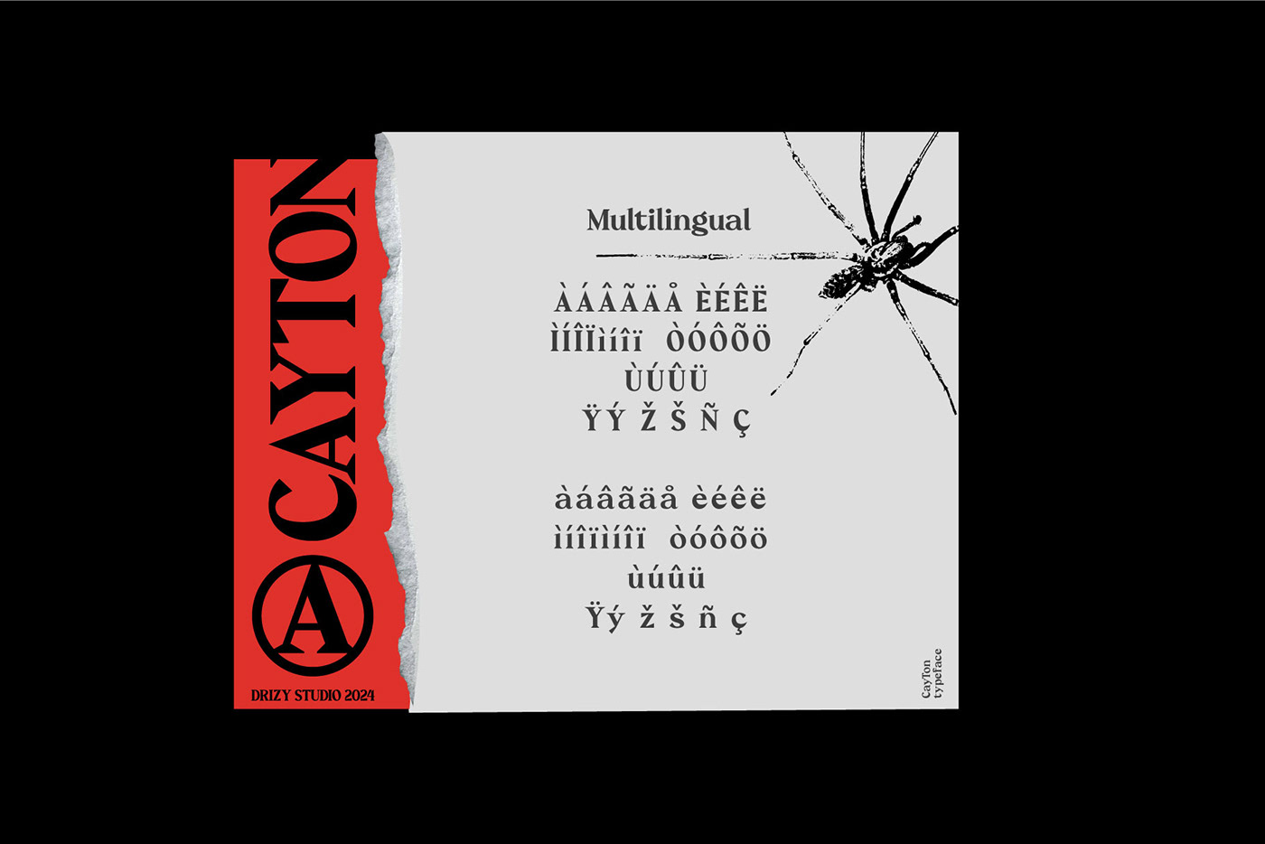 Cayton – Vintage Sharp Serif Font