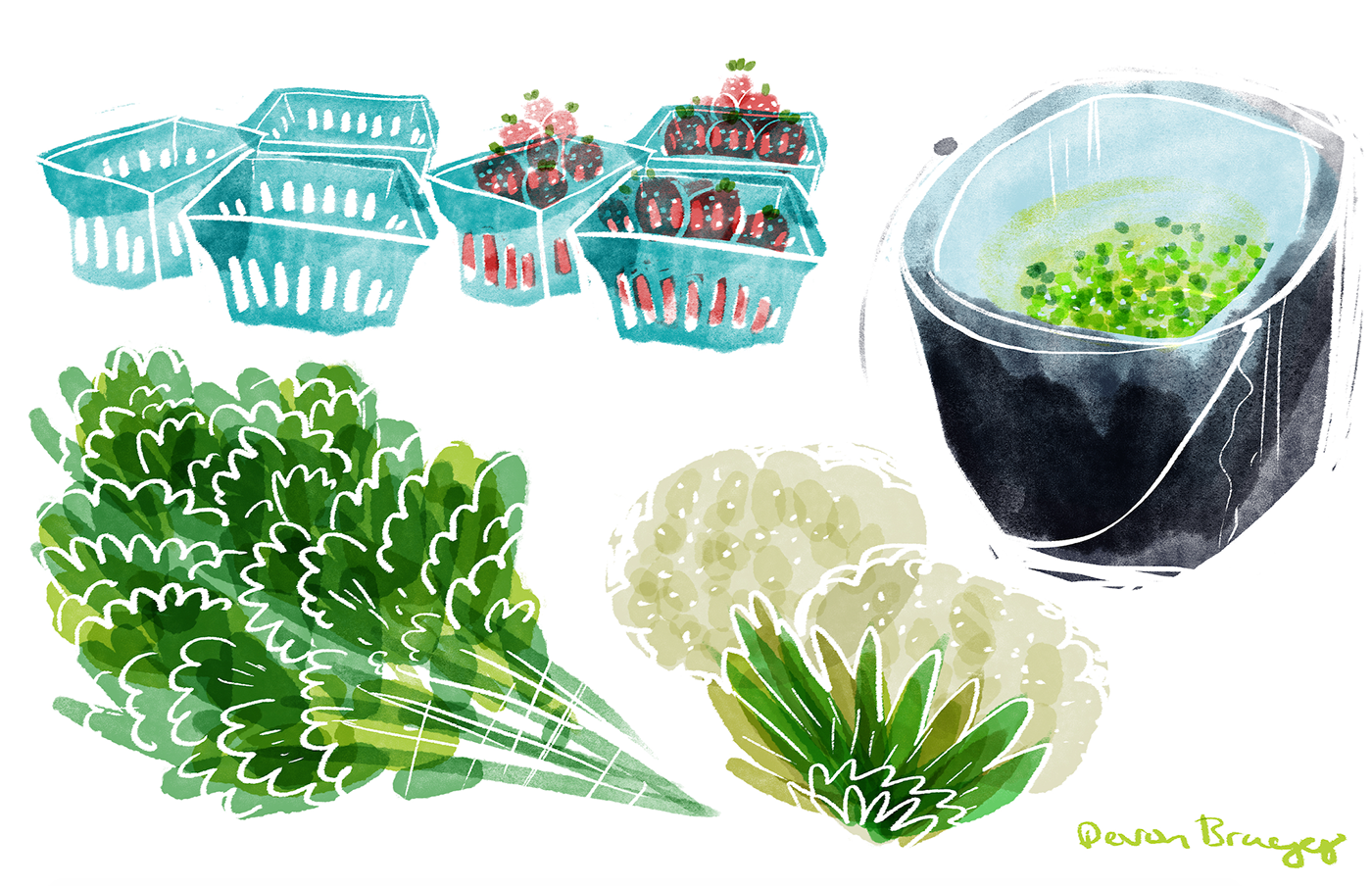 Food  digital photoshop produce ILLUSTRATION  art vegetables Fruit sketches