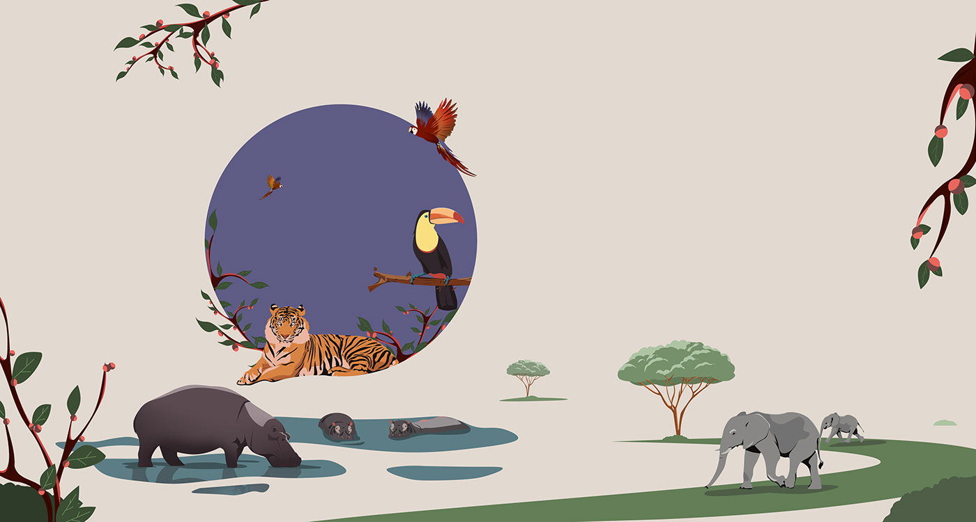 Coffee ILLUSTRATION  african animalillustration animation  motion graphics  Character design 
