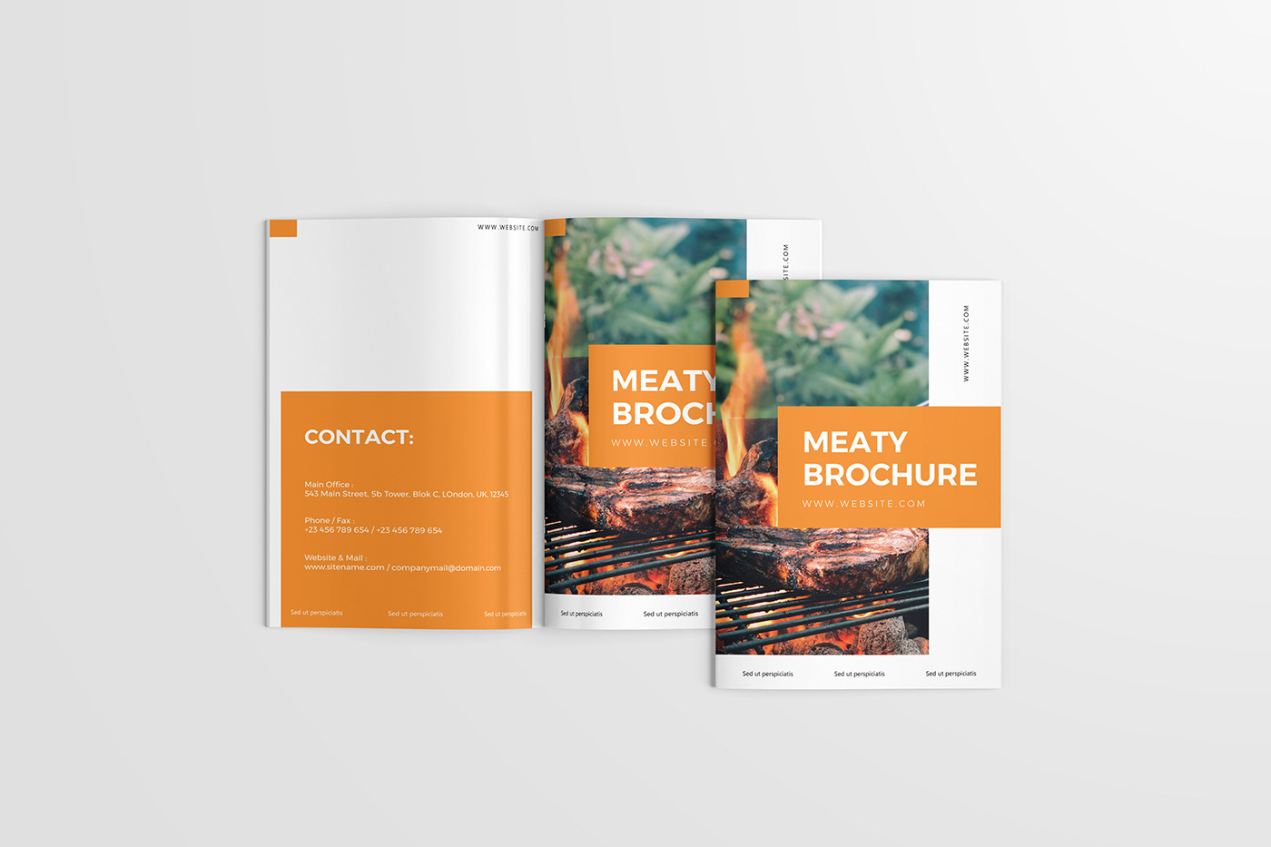 Advertising  brand identity brochure brochure design catalog design catalogdesign magazine Magazine design