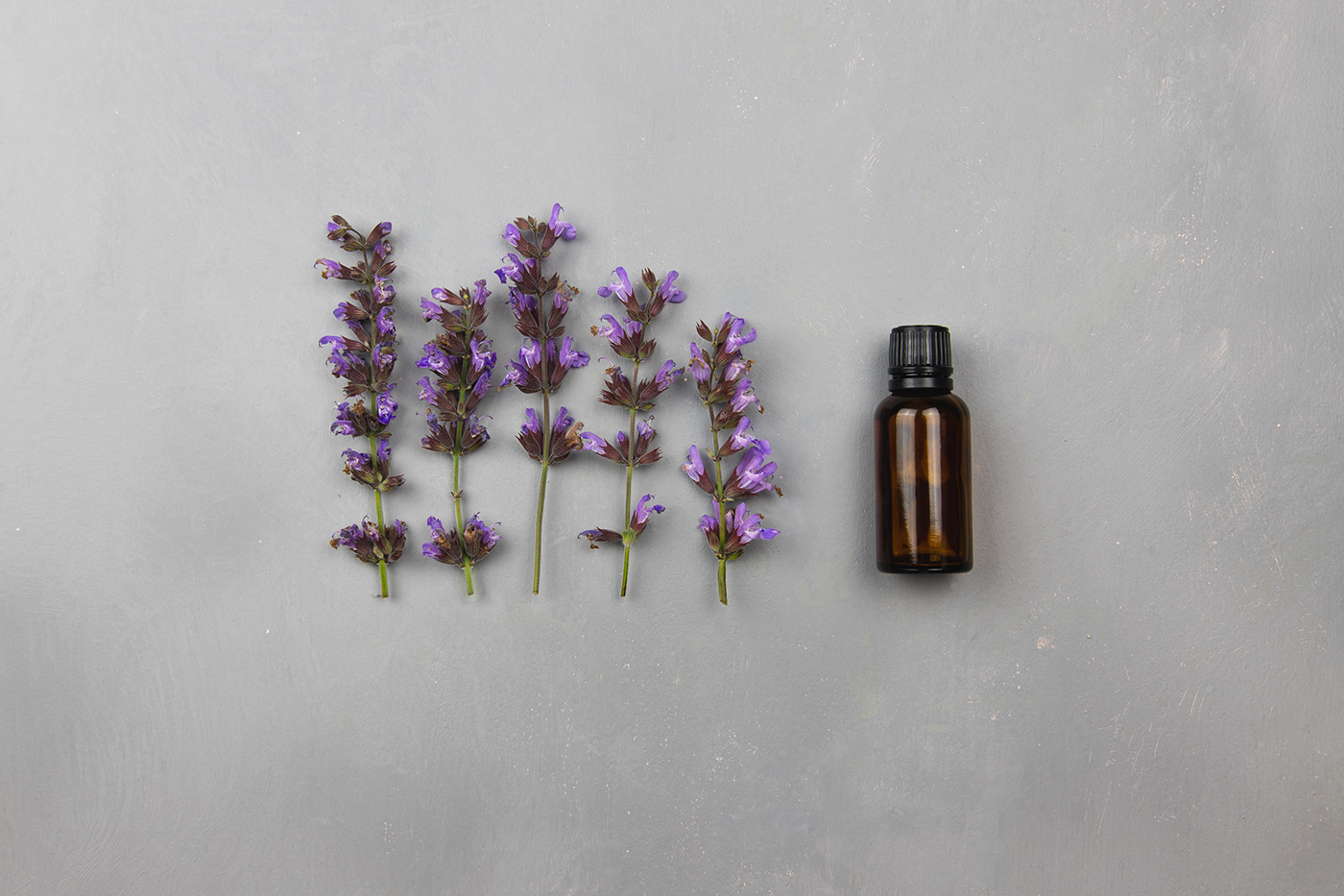 flower floral Nature photographer Photography  still life essential oil Packaging brand identity salvia
