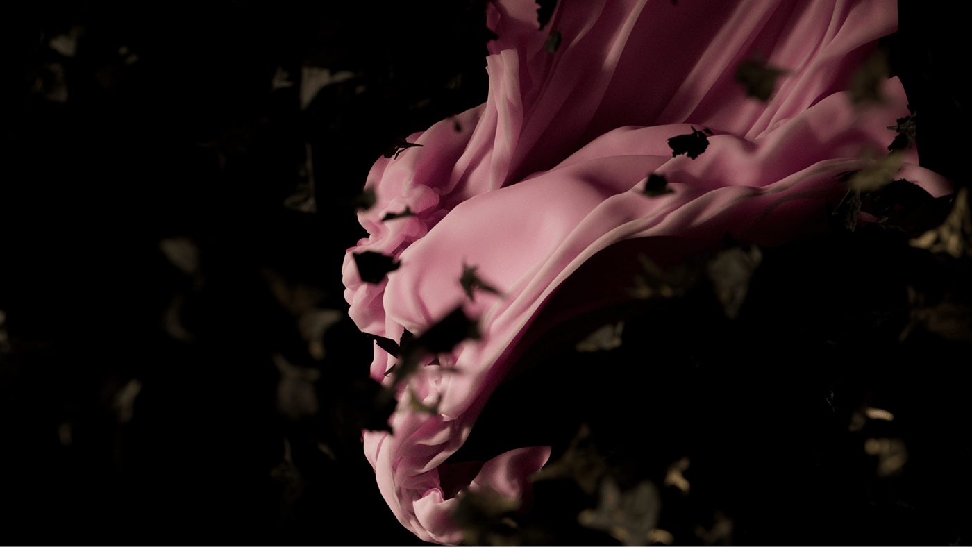 3D animation  art ballet buterfly CGI Flowers houdini simulation motion