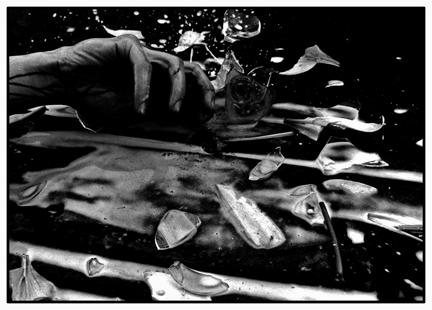 argentique blackandwhite étrange nature morte noir et blanc Photographie Photography  Still Photography strange