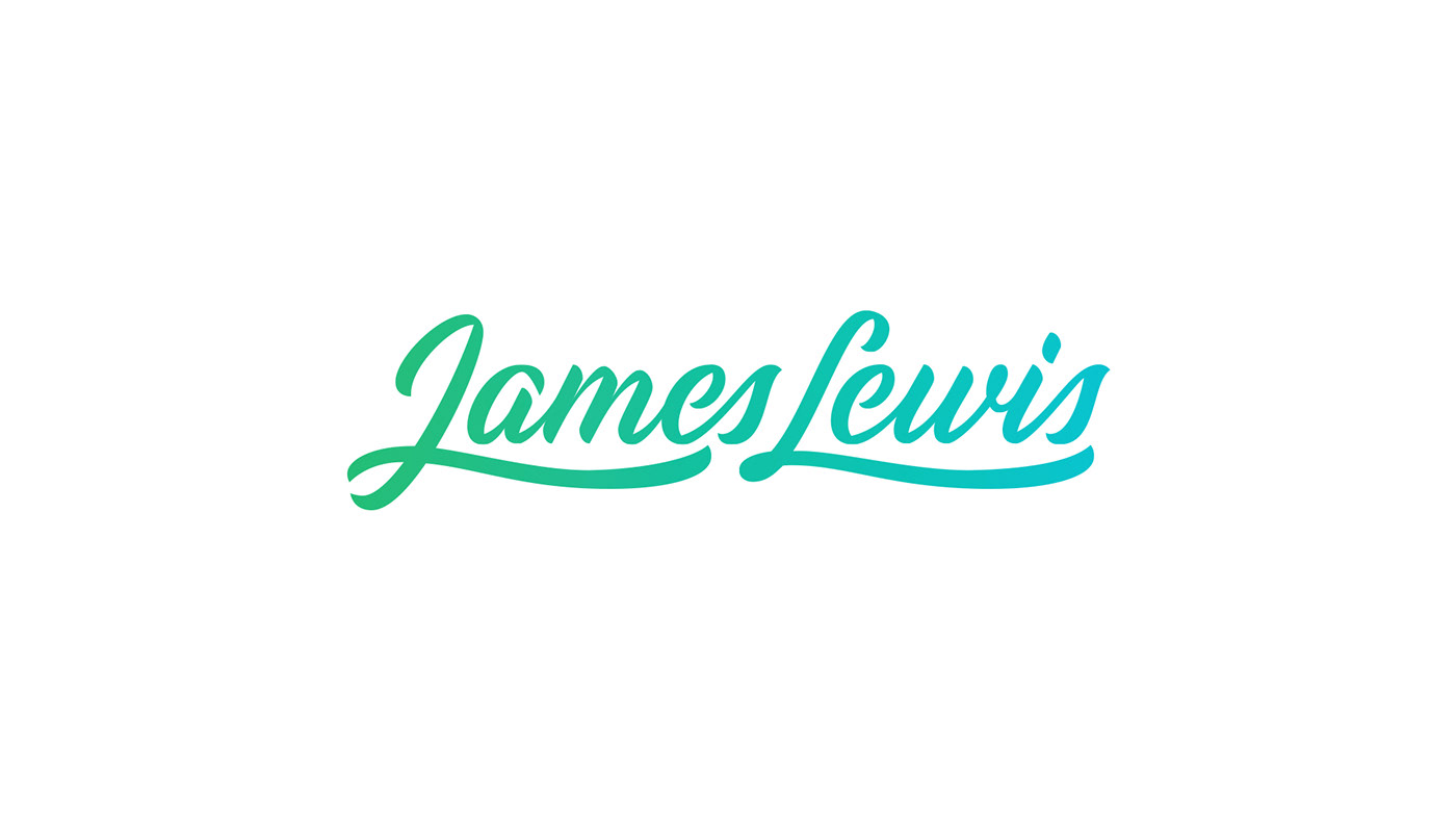 james lewis  wix Calligraphy   graphic design  logo lettering