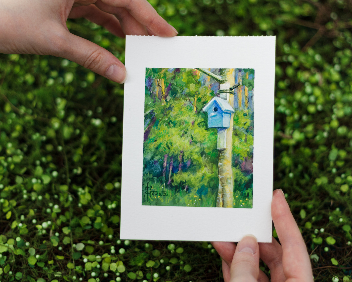 art Birdhouse colored pencils cute drawing gouache painting ILLUSTRATION  Landscape painting   watercolor painting woodland forest