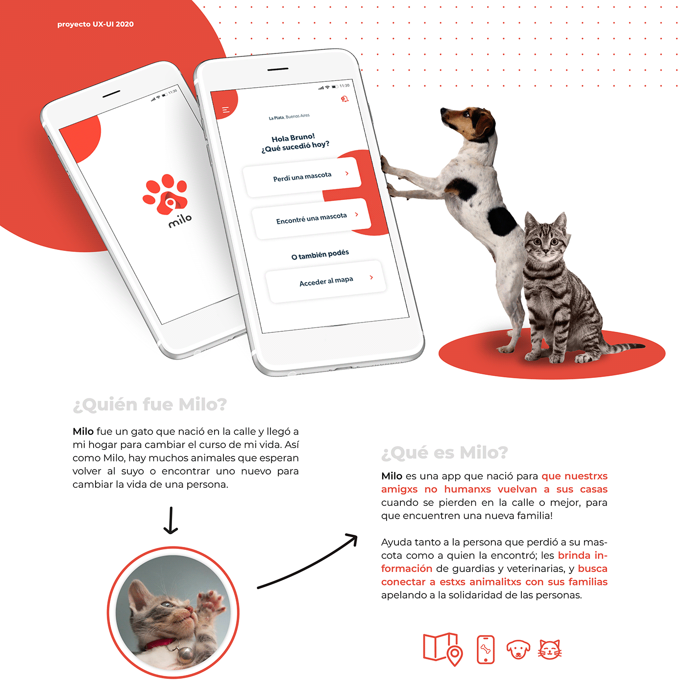 animales app movil Diseño de interacción Diseño de interfaz Experiencia de usuario logo User research ux-ui