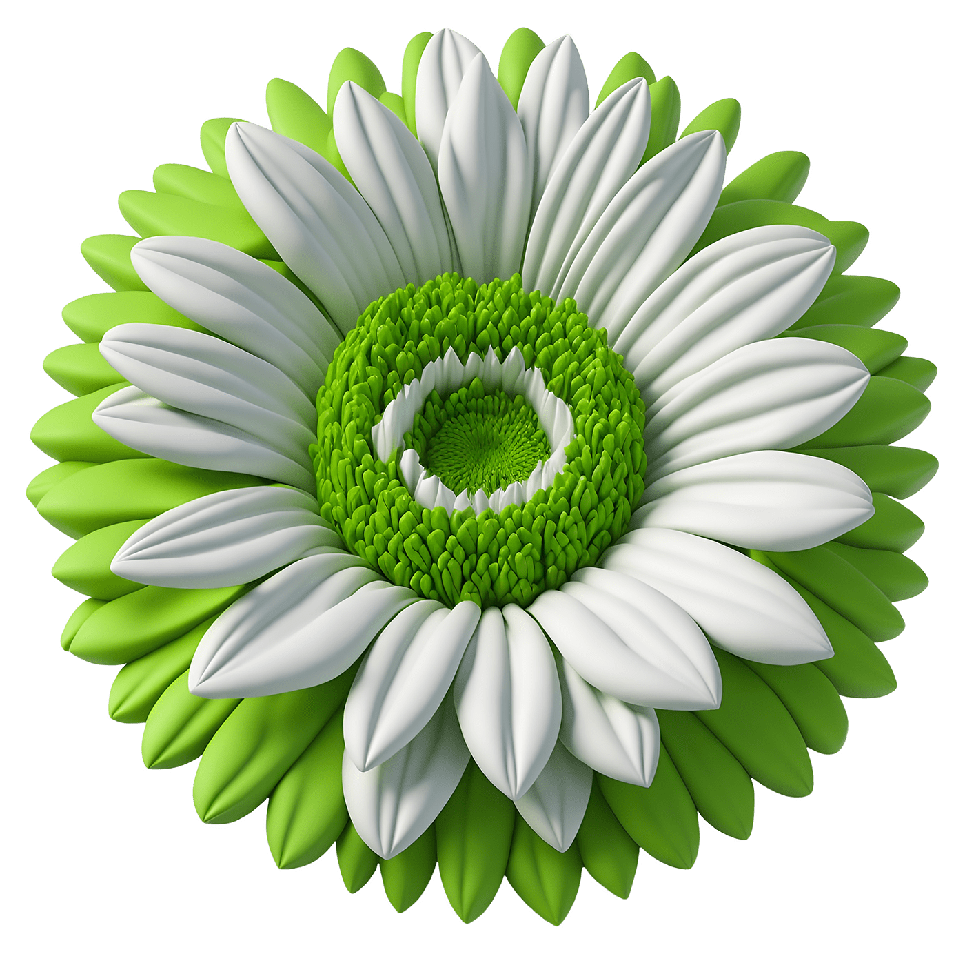 gerbera Flowers clipart design ILLUSTRATION  3D floral Digital Art  desing element
