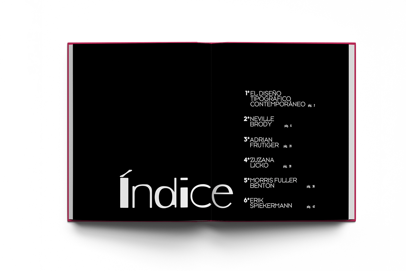 diseño gráfico graphic design  fadu tipografia editorial typography   InDesign gaitto 2