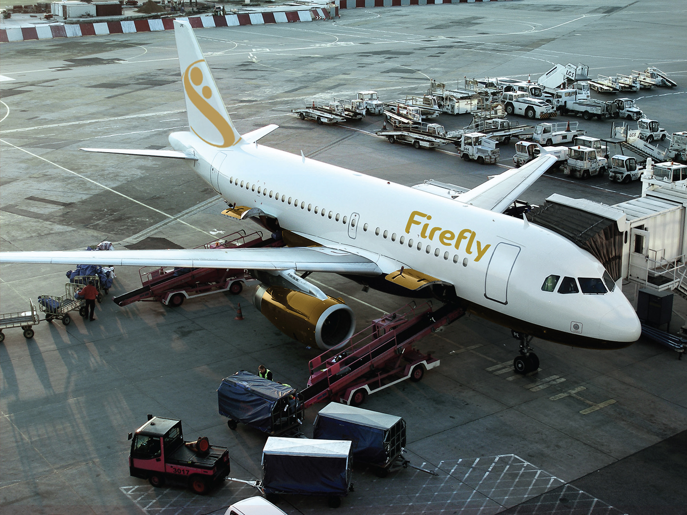 Airlines firefly luxury malaysia rebranding redesign Service design TRENDING uitm