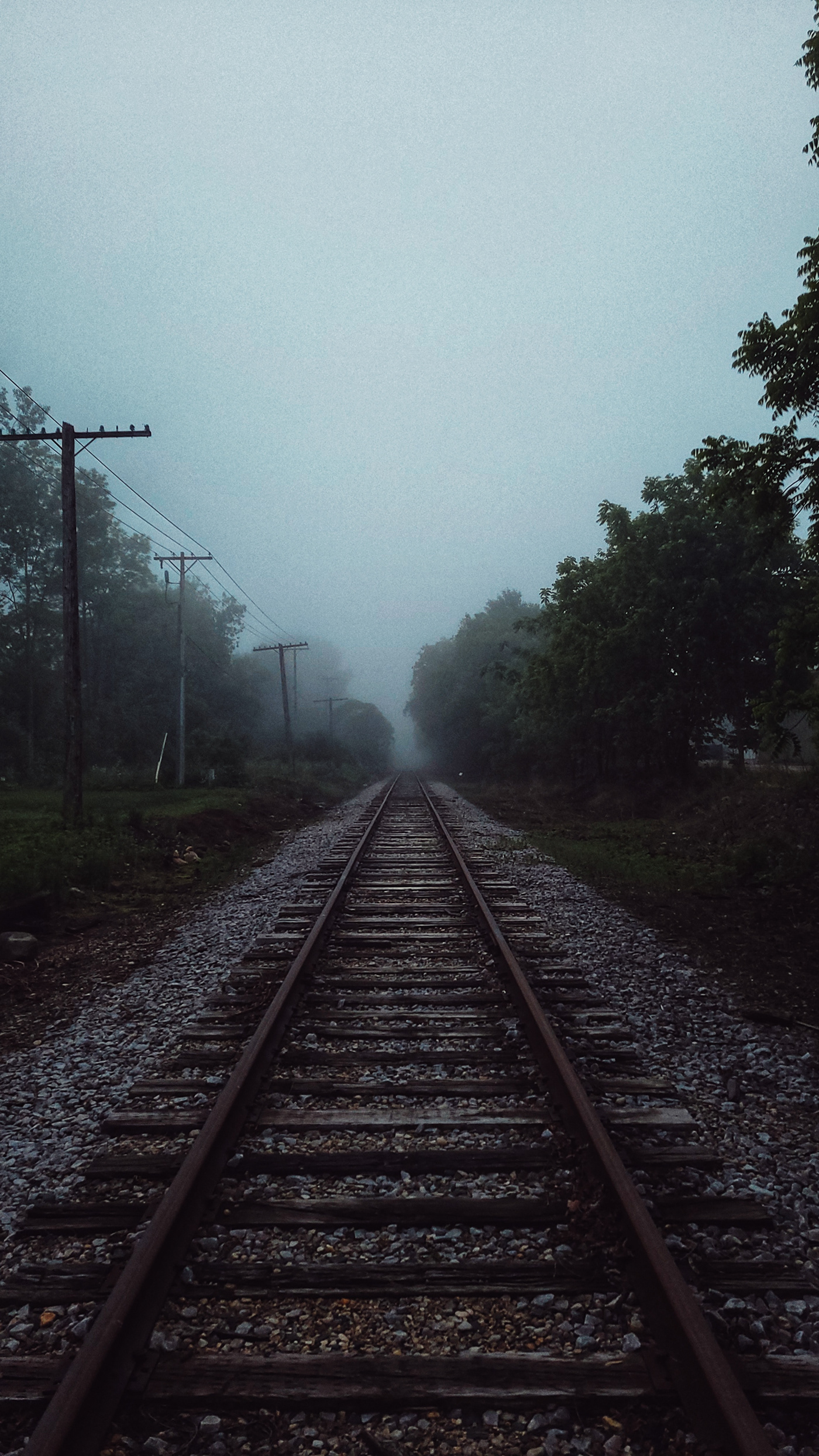 trees train tracks fog MORNING eerie dark atmosphere rural Wisconsin Plymouth