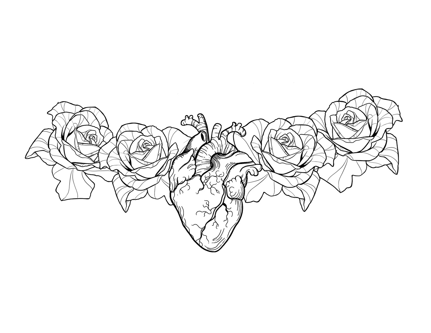 art Digital Art  Drawing  floral Flowers ILLUSTRATION  peony Roses sketch