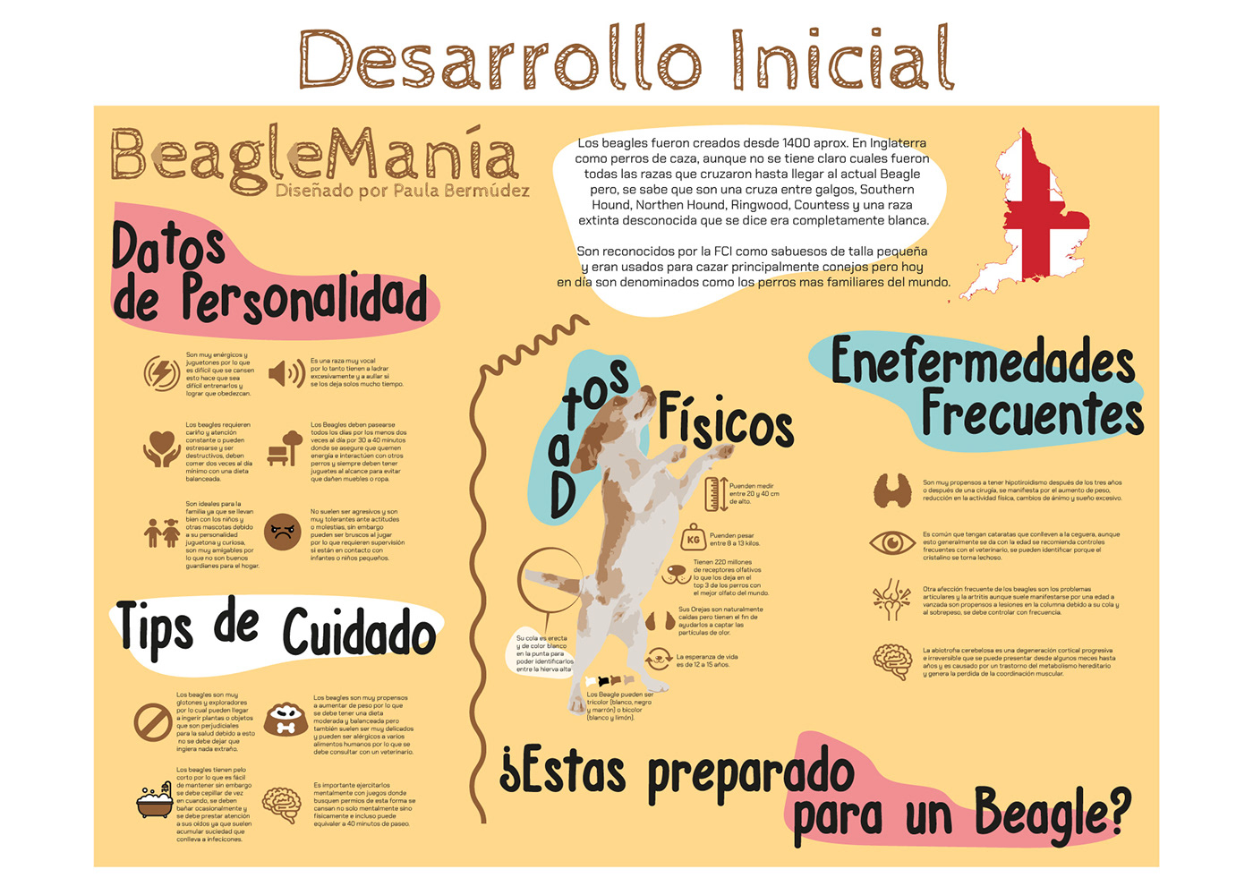 beagle design dogs ILLUSTRATION  infographics Infographie information design puppy typography   vector