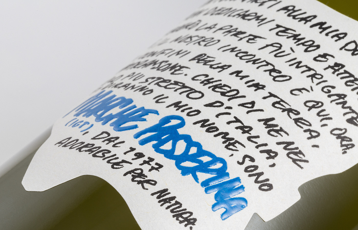 lettering hand written labels Wines wine settantasette identity logo Logotype vino ripatransone Etichette handwriting write cool