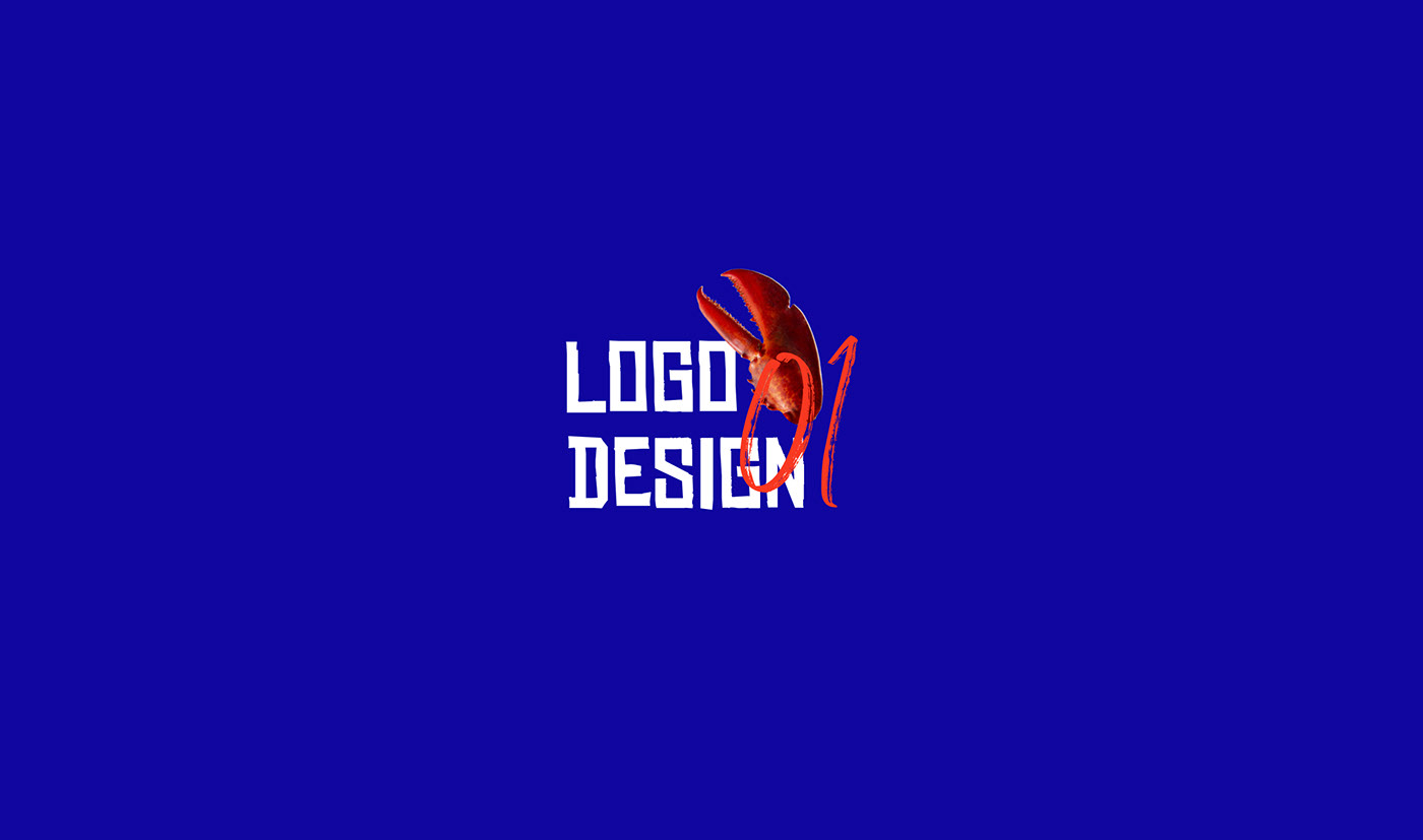 design brand identity Logo Design Graphic Designer visual identity