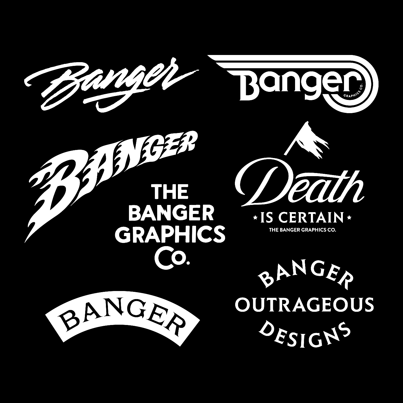 logo lettering Logotype branding  T Shirt ILLUSTRATION  typography   type Handlettering brushpen