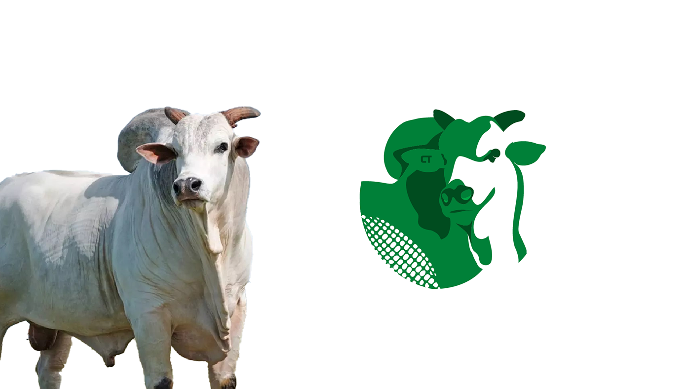 identidade visual brand identity Logo Design visual identity Brand Design logo ox Nelore agropecuária Livestock