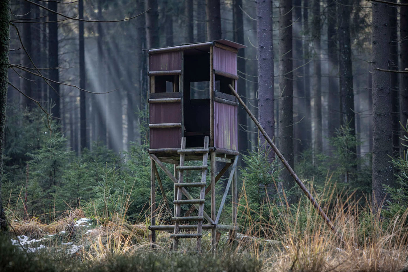 chasse Hunt Hunting Huntingtowers Lookout tower forest Hunting season