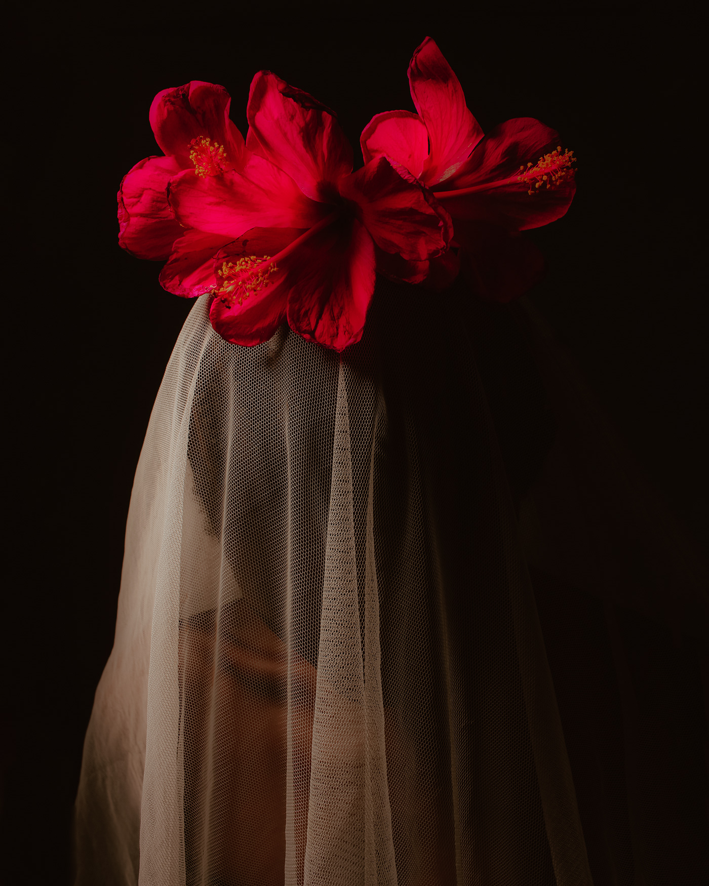 flower Nature Photography  skin lightroom portrait beauty model retouch bridal