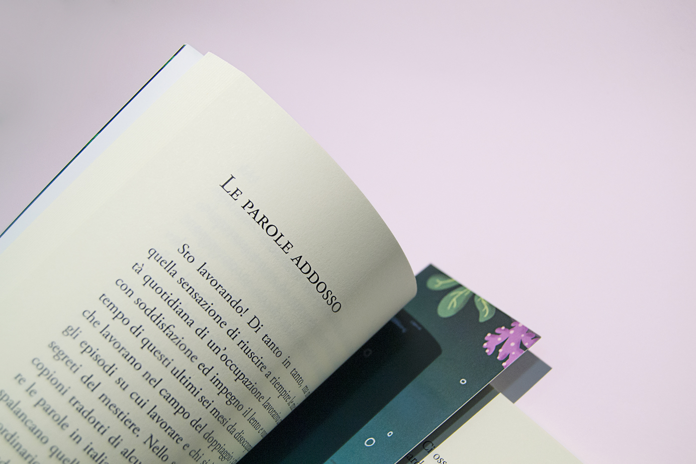 book Photography  Layout typography   ILLUSTRATION  Adobe InDesign graphic graphic design  book design inspire