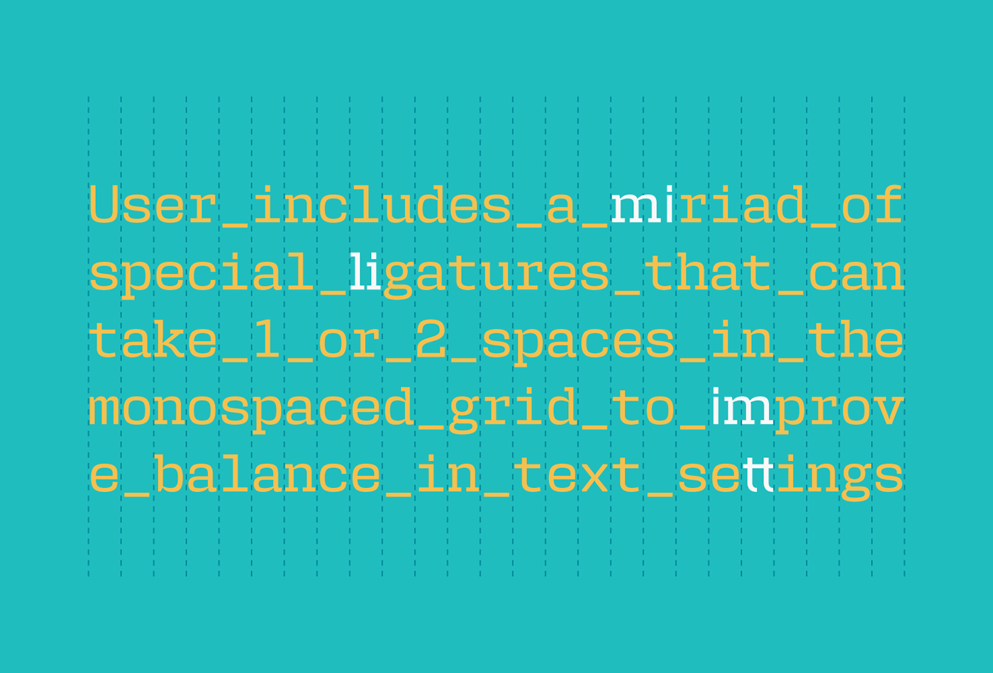 monospaced Typeface font user Pedro Leal DSType