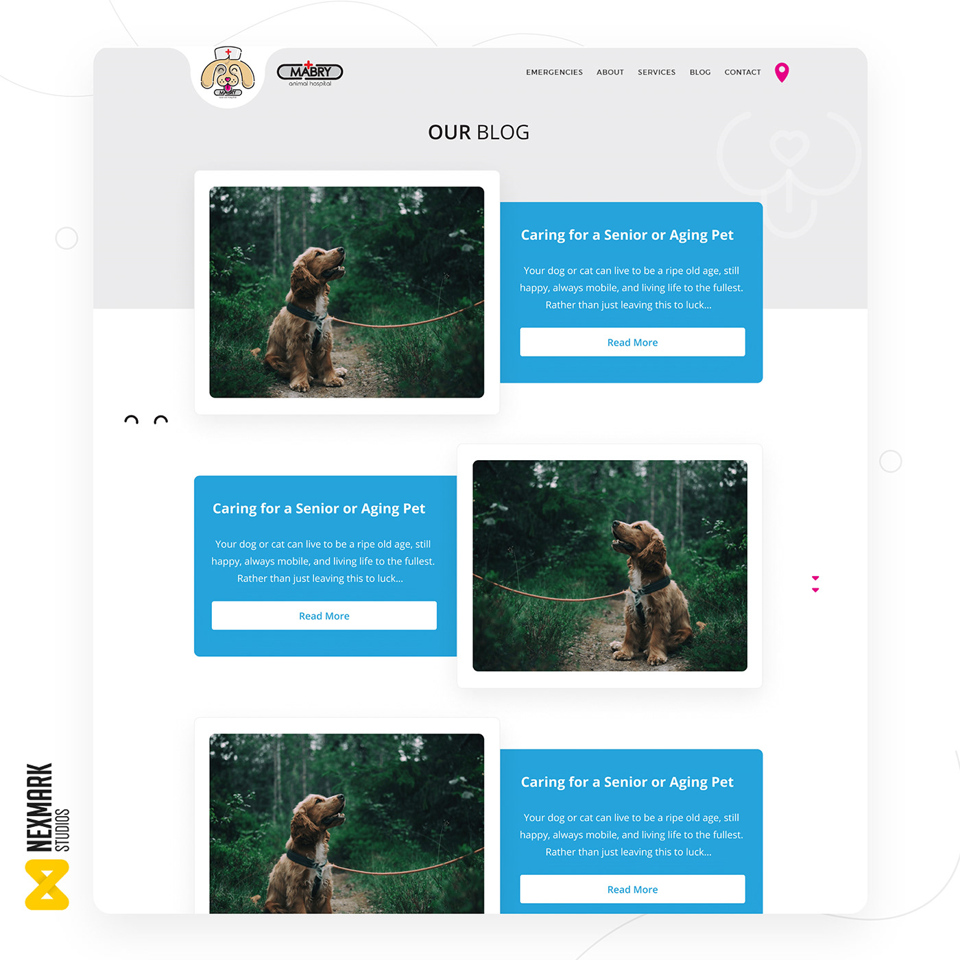 development UI/UX Web Design  Website wordpress Animal hospital veterinary