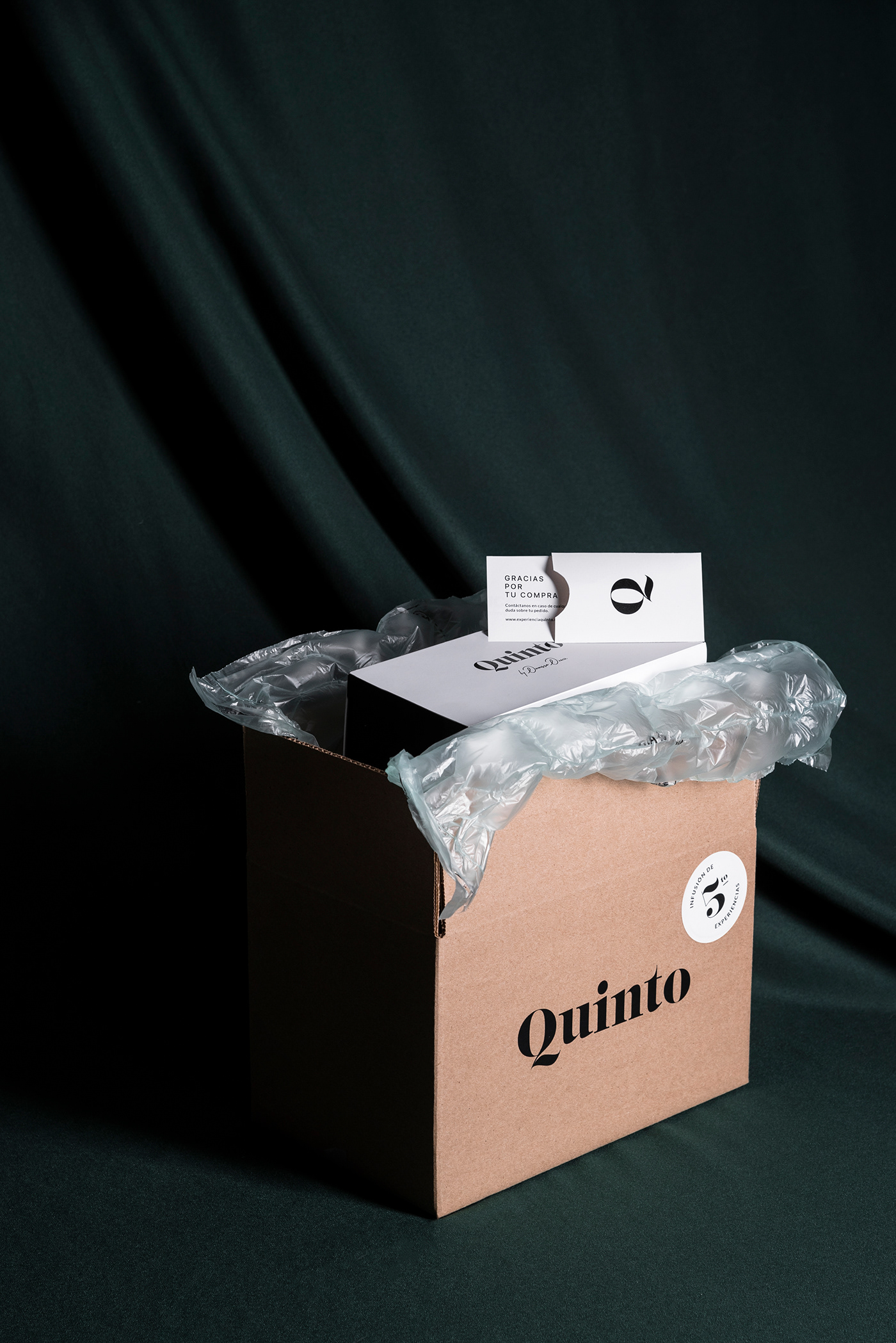 Quinto mexico Guadalajara ILLUSTRATION  identity branding  Packaging Tea shop tea Logotype