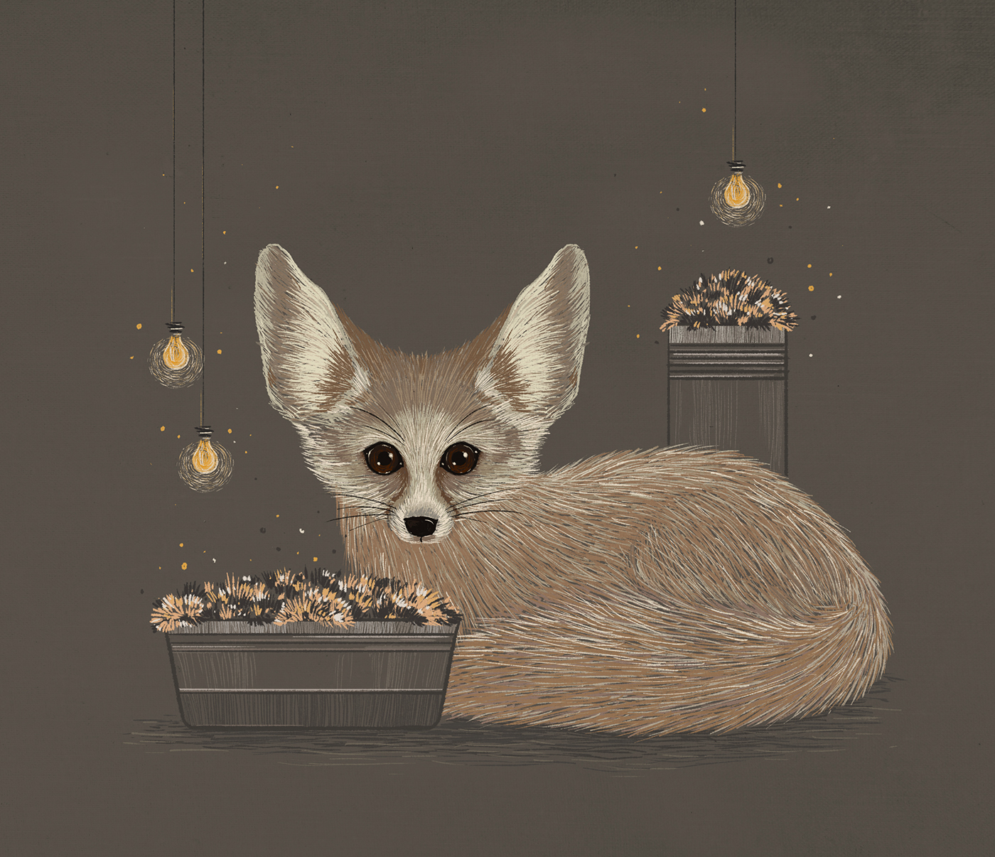 India Cat owl FOX Evening cozy chalk brush Fur bulb