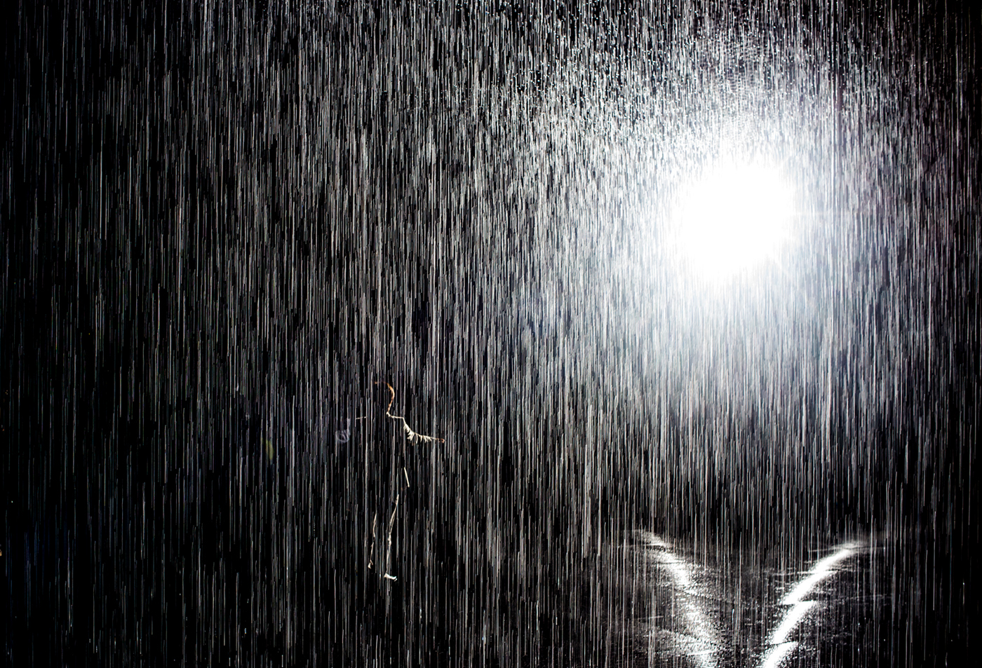 Rain room rain Exhibition  lacma art water abstract surreal motion Los Angeles California