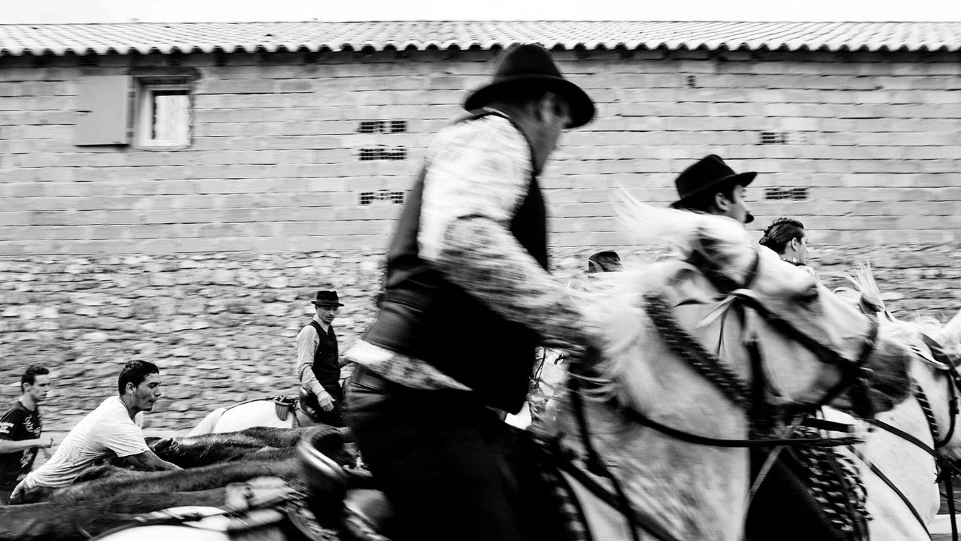 Camargue Documentary  france culture tradition people storytelling   farmlife Nature blackandwhite