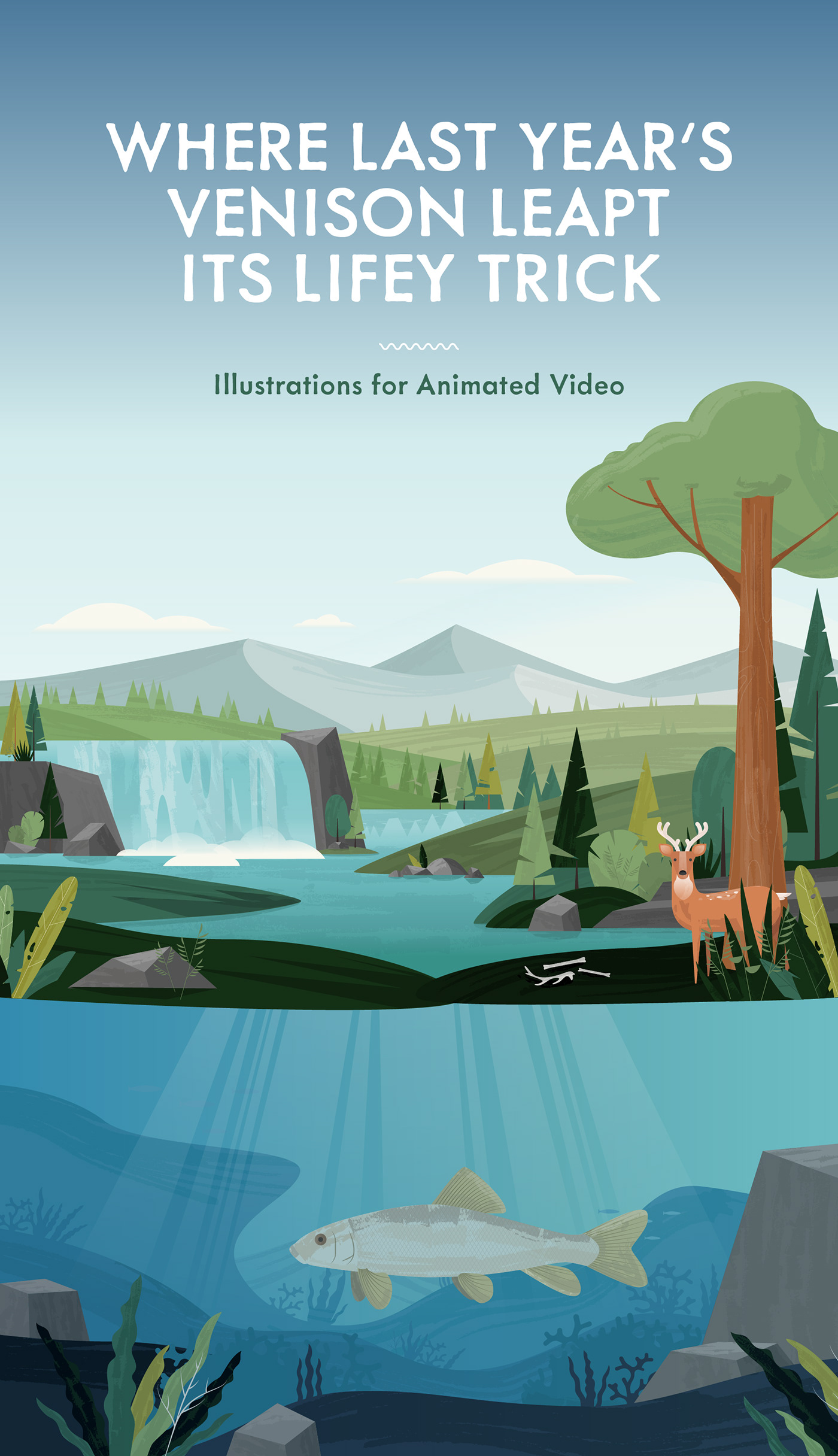 adobe illustrator animation  animation illustration ILLUSTRATION  vector