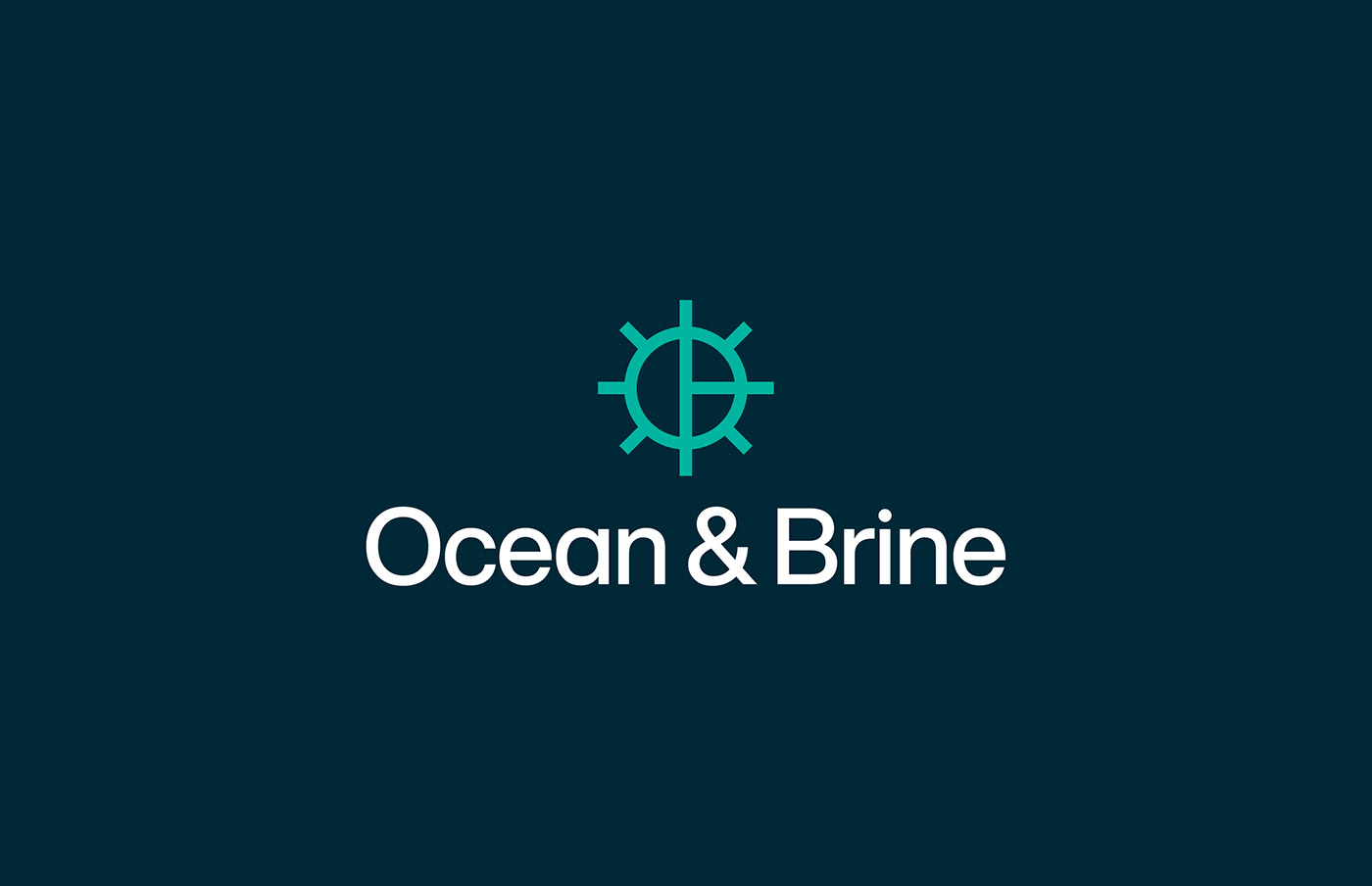 brand identity Logo Design visual identity brand identity Logotype logo Ocean Brand Design