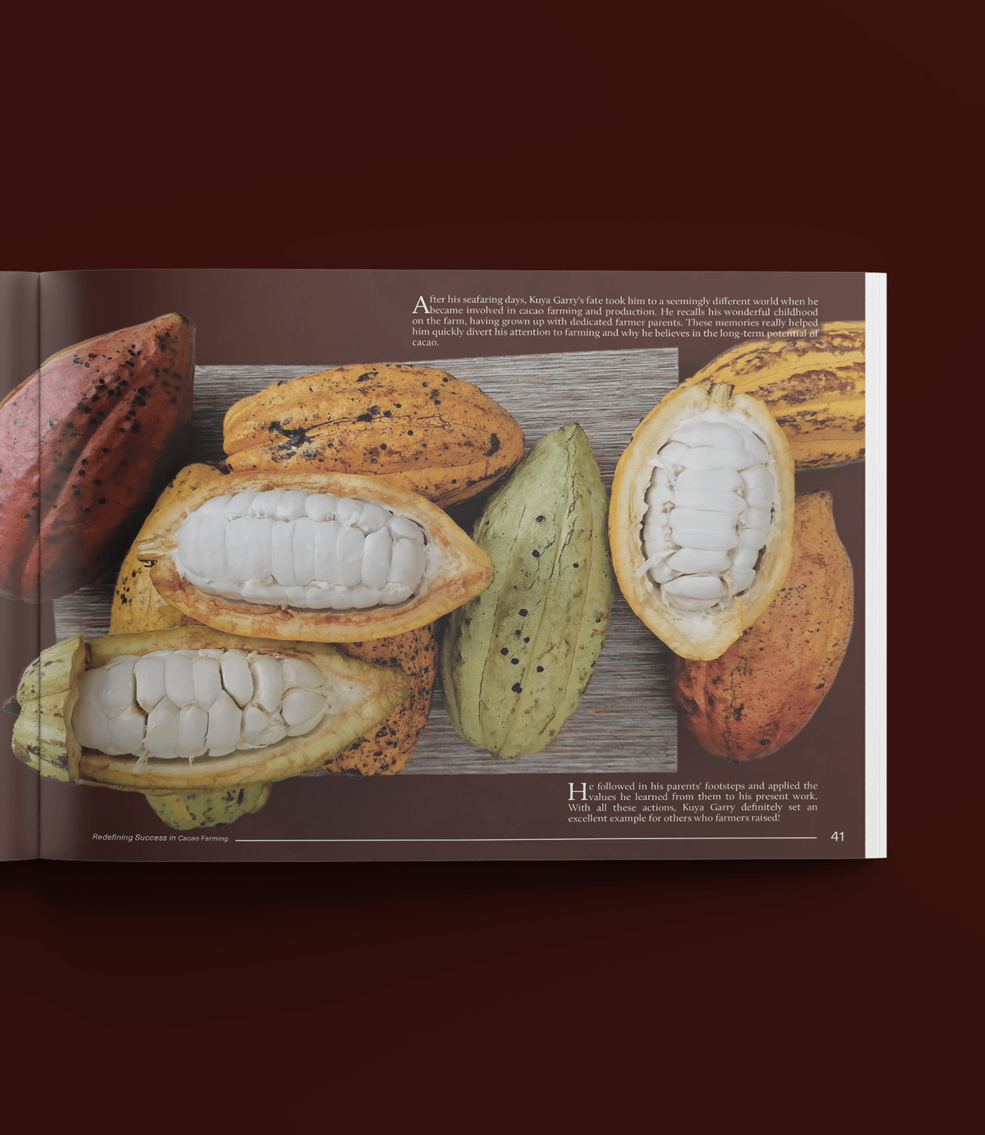 editorial design  Picture book Layout book design COFFEE TABLE BOOK filipino philippines farmer cacao Earth Colors