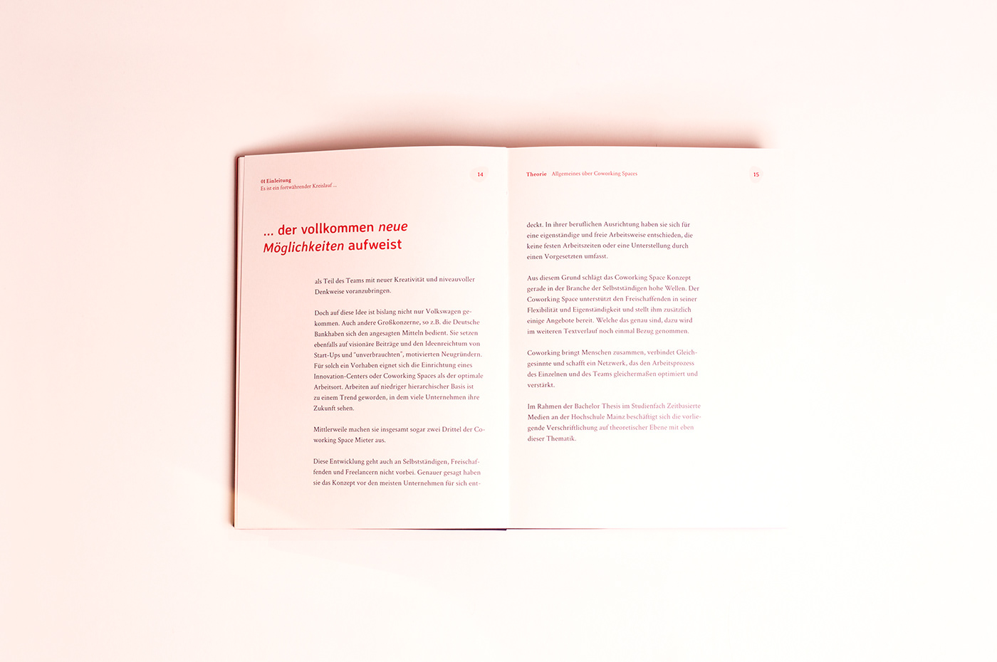 thesis bachelor book branding  logo hardcover Layout corporate faden
