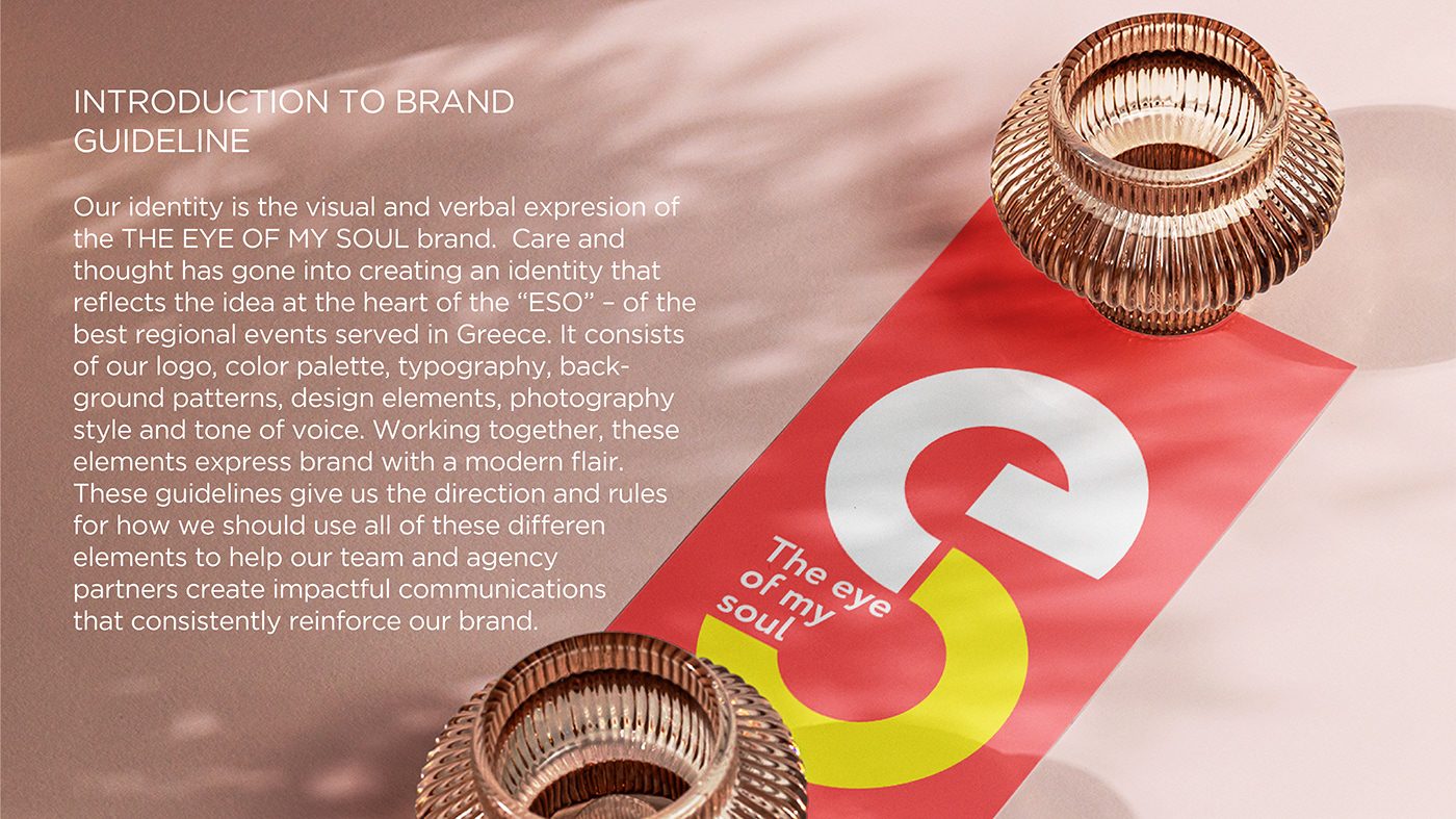 art direction  adobe illustrator brand identity branding  brand Brand Design logofolio rebranding typography   Behance