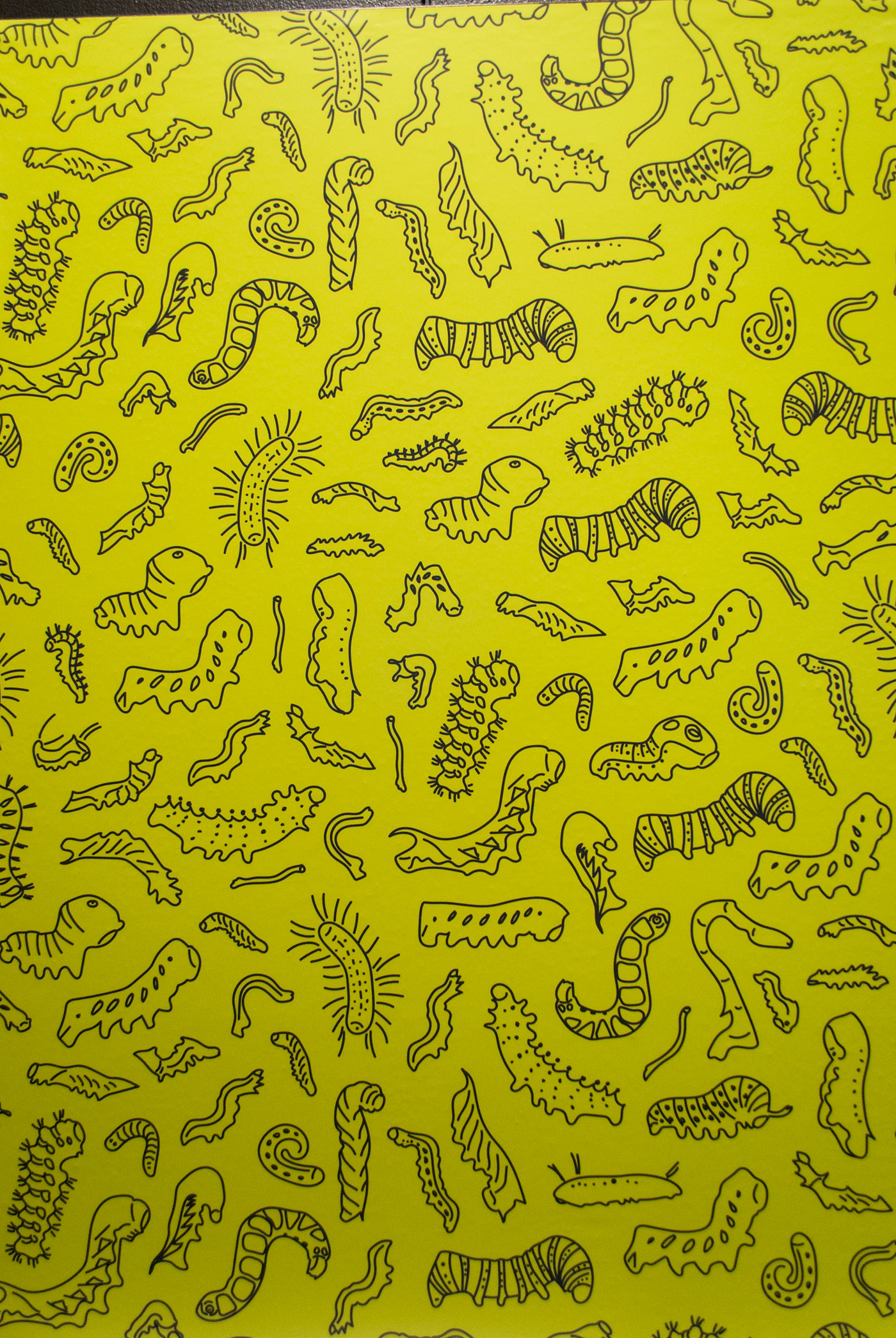 EXHIBIT DESIGN museum graphic design  science design Education natural history caterpillars