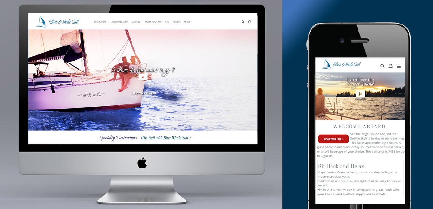 branding  Creative Direction  sailing shopify web design art direction  graphic design 