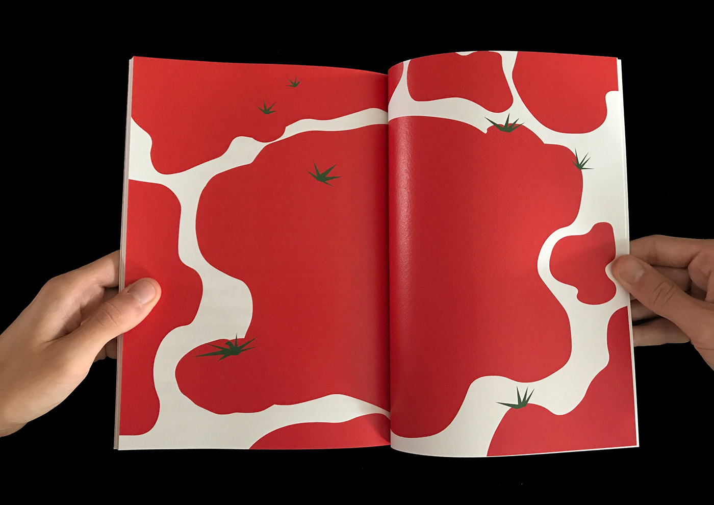 Tomato tomaat book ILLUSTRATION  graphic design  Layout red Illustrator InDesign