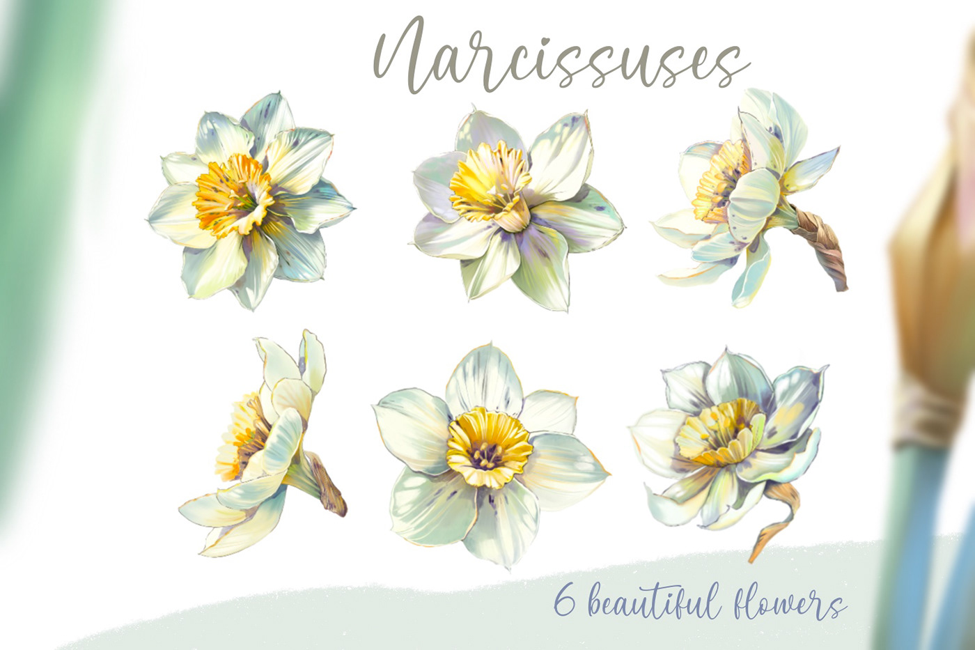 watercolor butterfly flower narcissus yellow White clip art ILLUSTRATION  Nature botanical art brush stroke Bouquet meadow sunlight spring fresh summer floral delicate hues daffodil paper ink blossom garden color blooms Stems petals canvas paint Jonquil
