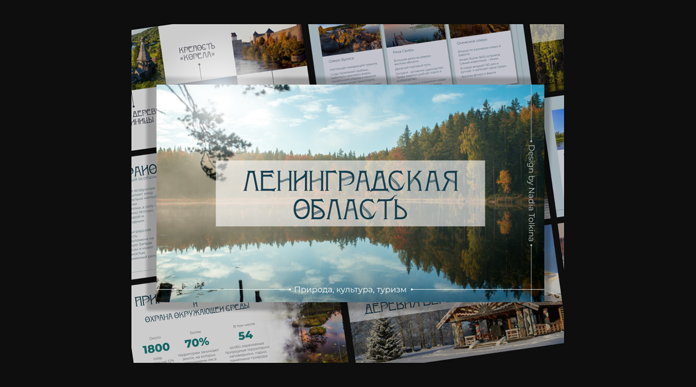 presentation presentation design презентация путешествия ecological Nature природа tourism Ленинградская область Russia
