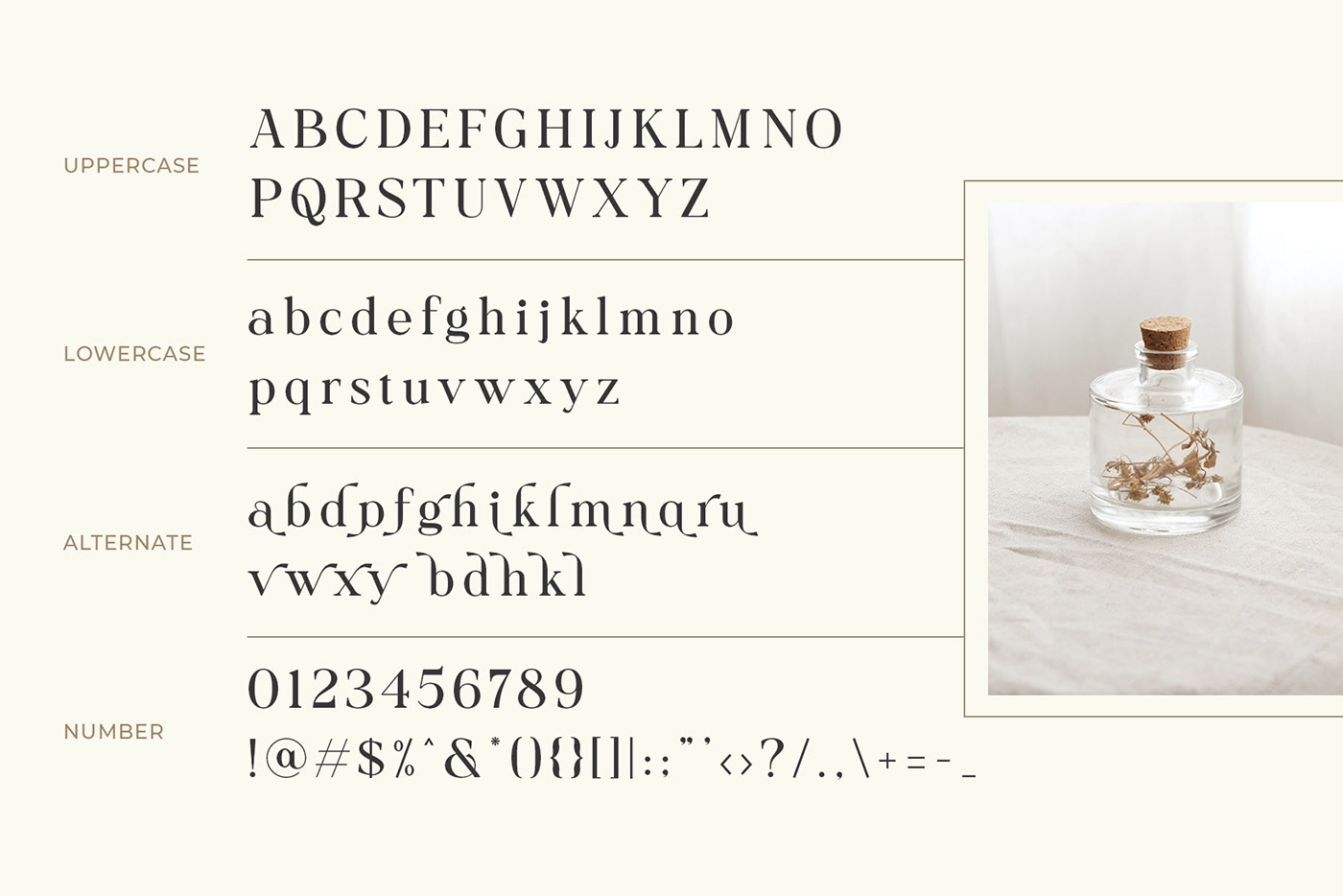 serif Free font freebies modern font elegant font Typeface ligature display font Modern Serif luxury font